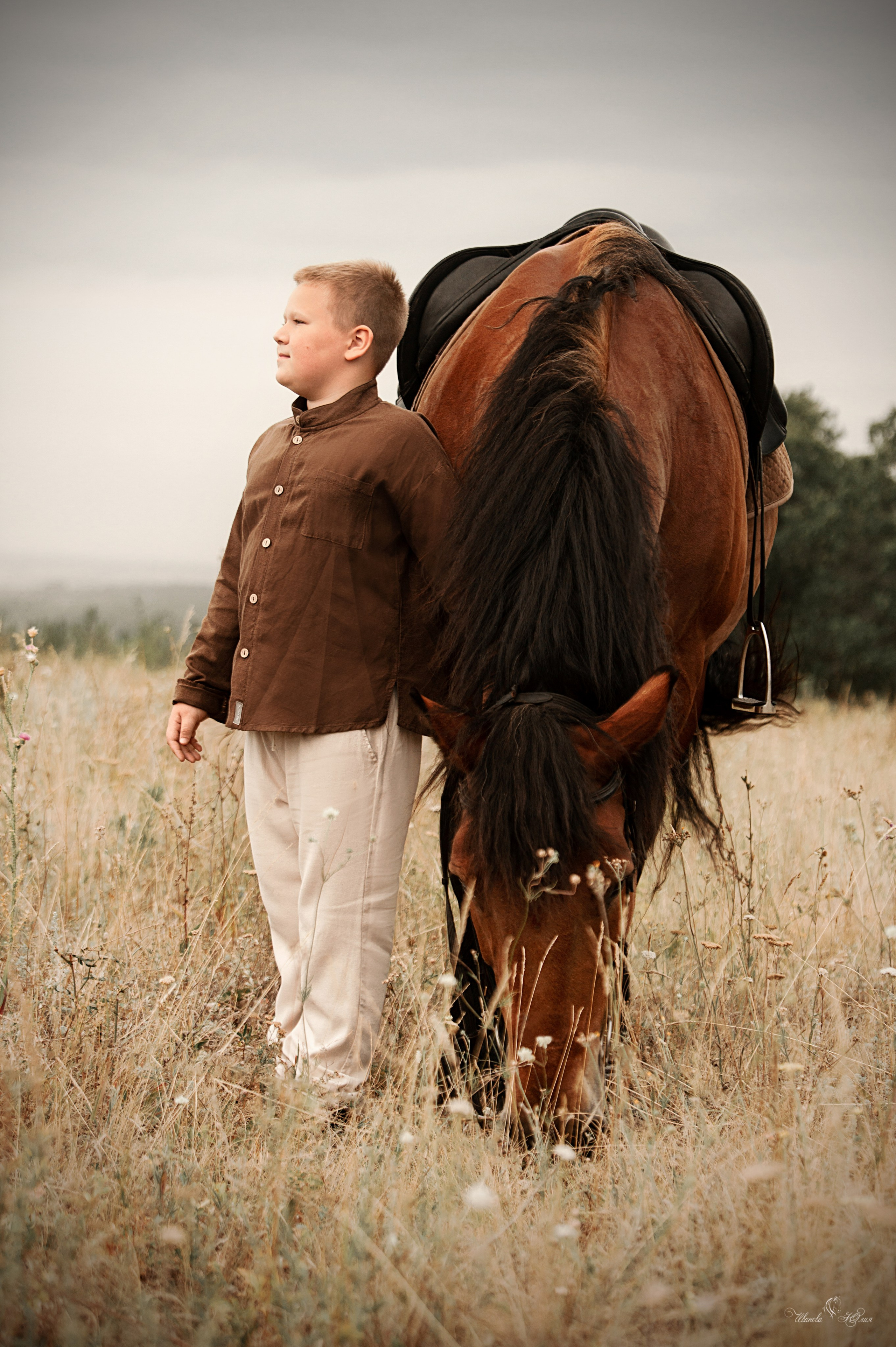 Захар и Спартак. Конный фотограф в Саратове Юлия Иванова