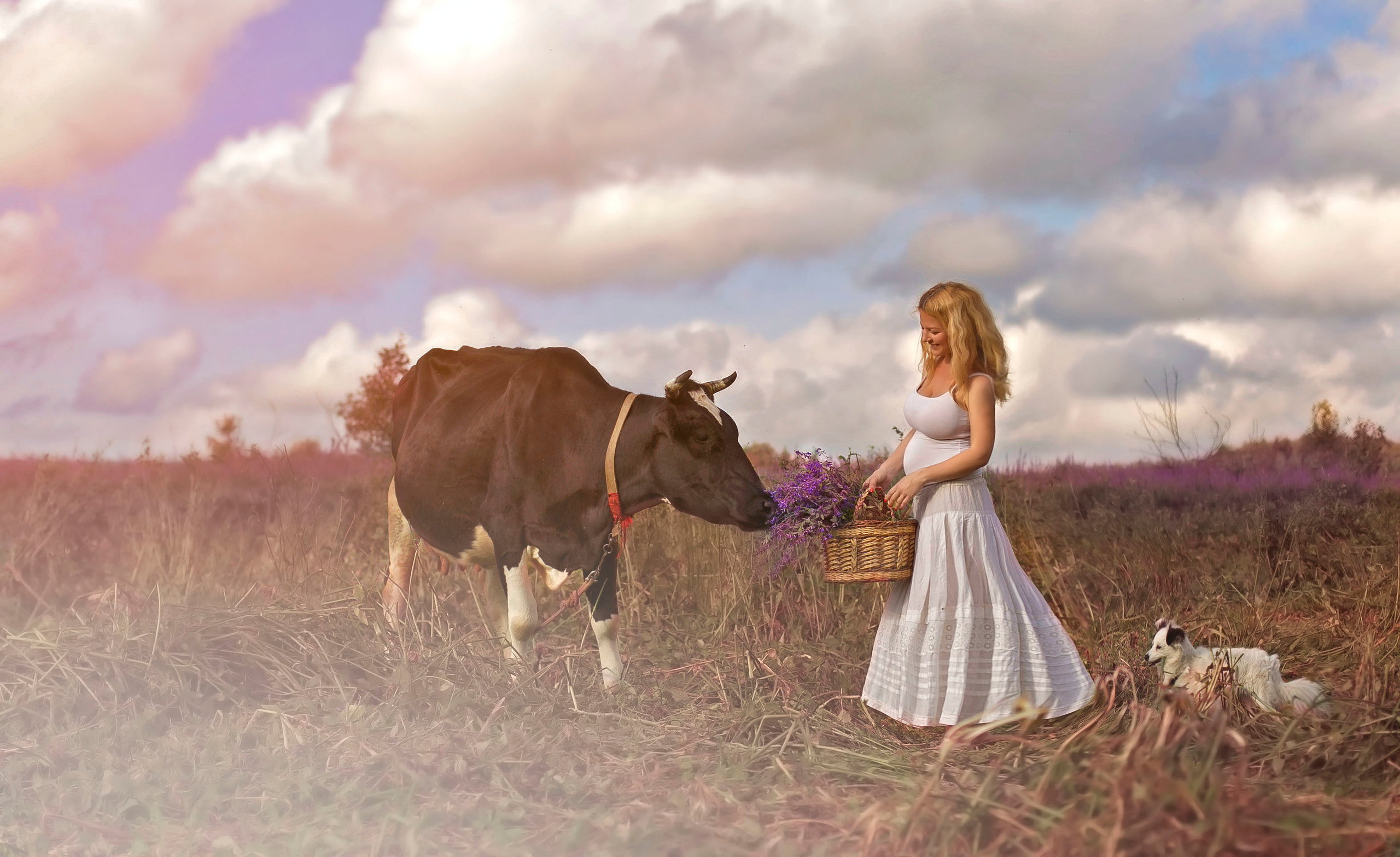 Услуги и цены. Фотограф. Москва.Бутово