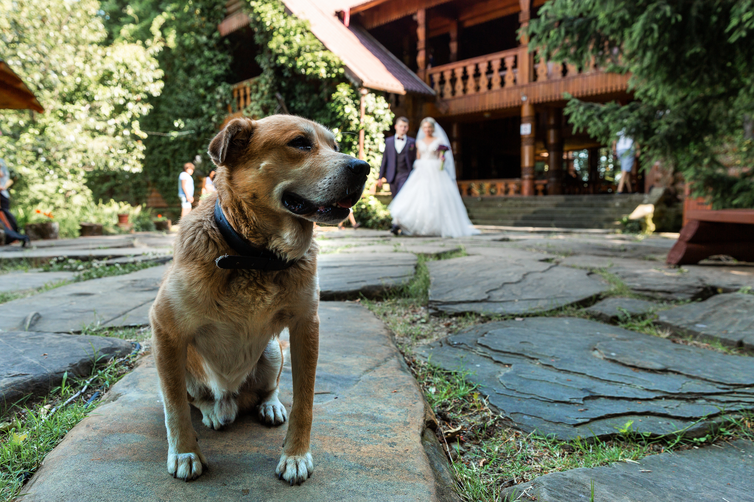 Александр & Юлия Фотосессия свадьбы Адлер. Свадебный фотограф  Пятигорск, Сочи, Ессентуки, Кисловодск Александр