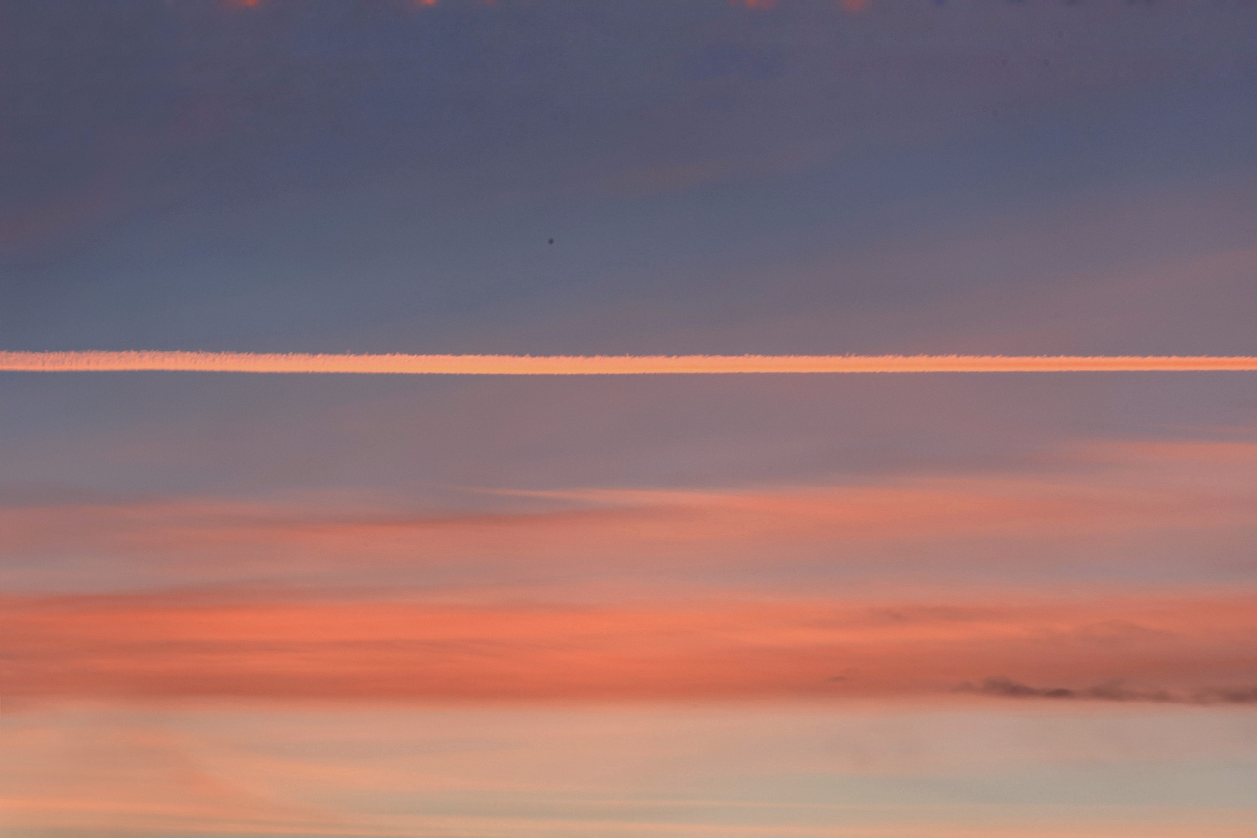 2025 год. Тащилин Сергей. Фотографии. Жизнь. Хобби