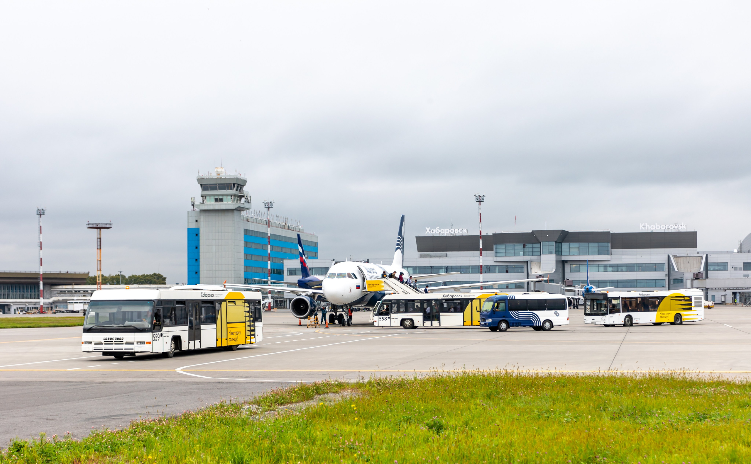 Споттинг 2024. Семейный и детский фотограф в Хабаровске Алевтина Проскурякова