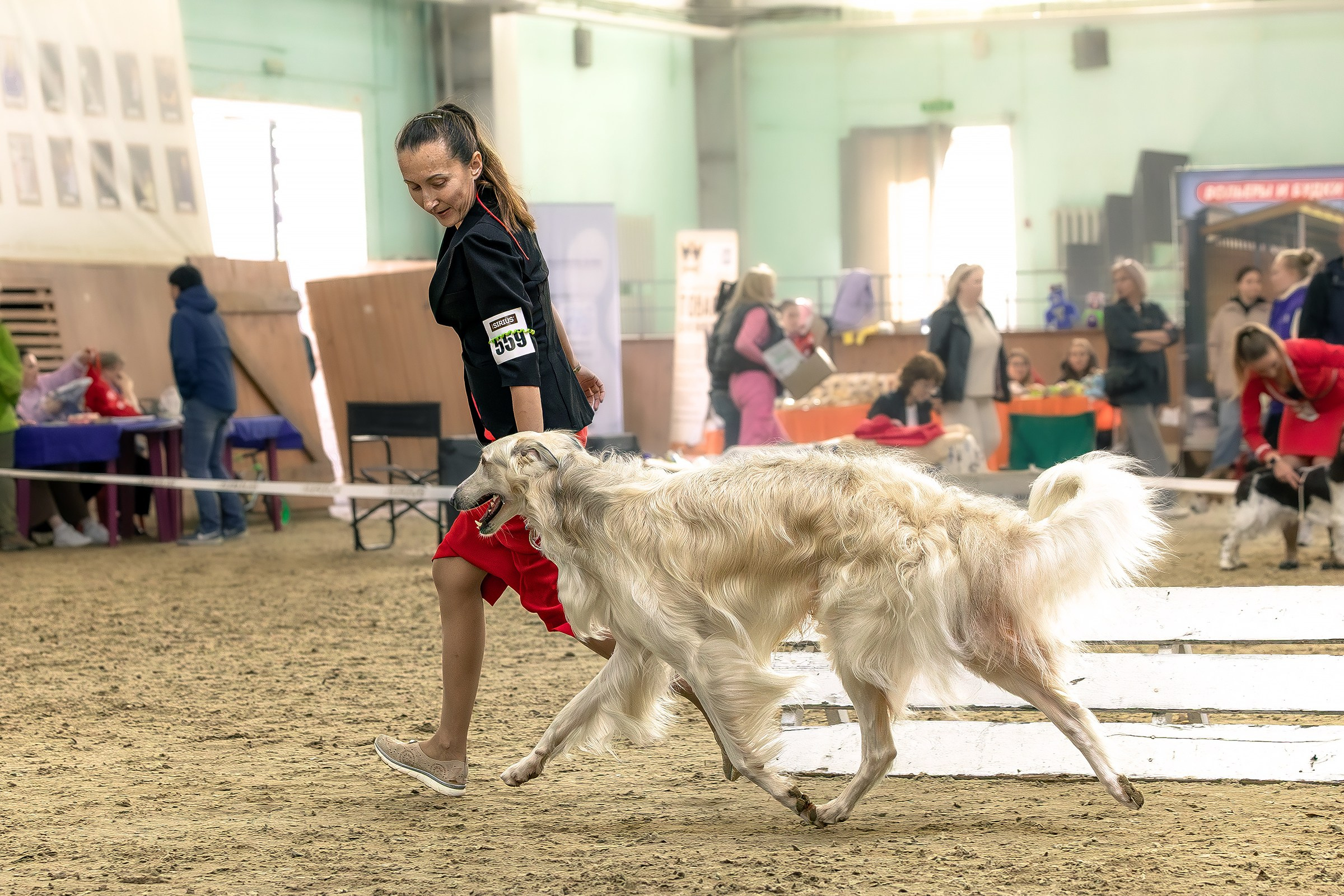 30 августа 2025, Выставка РКФ, г. Челябинск. Htykk_photo