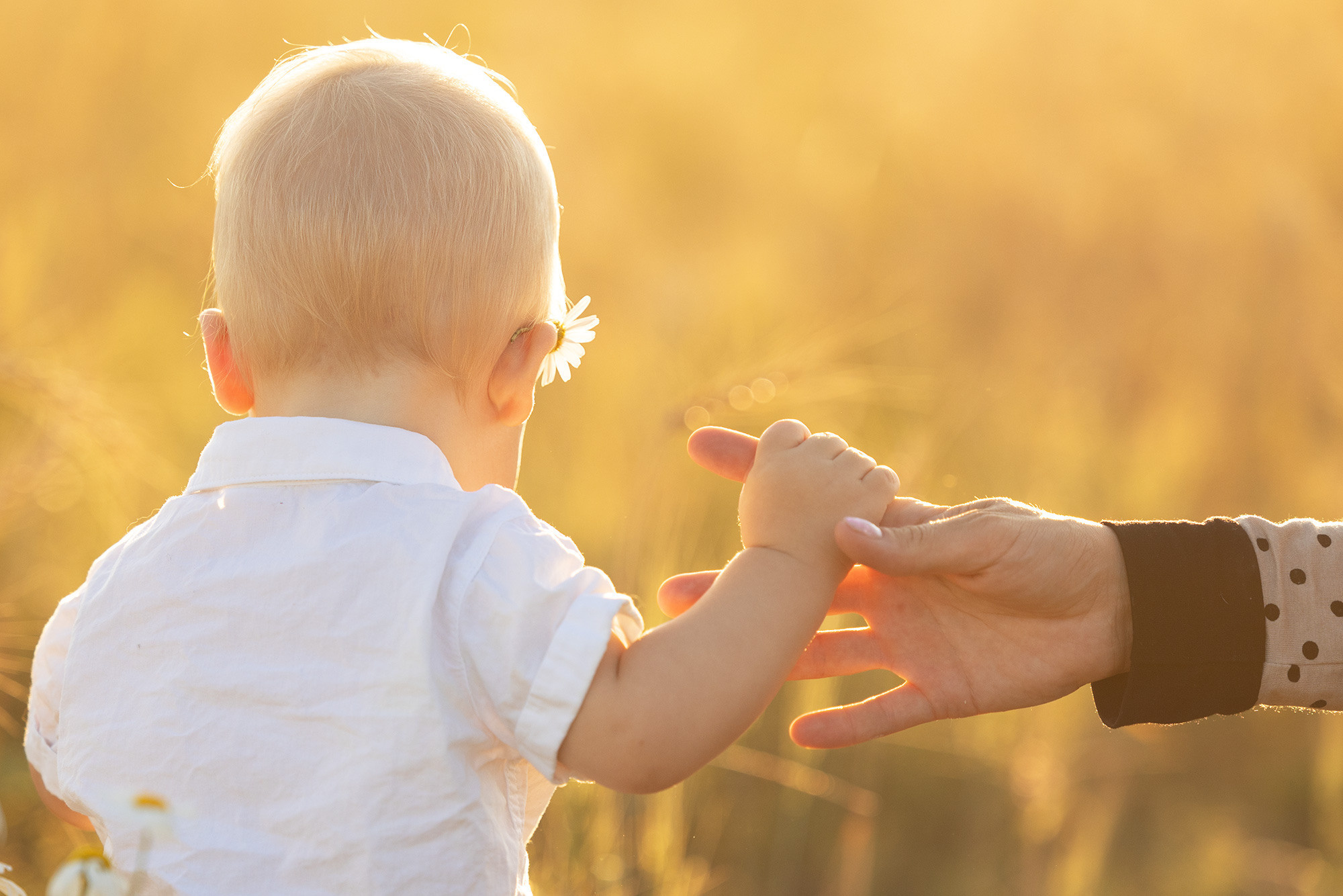 Отзывы. Фотограф Анастасия Ветковская, Москва