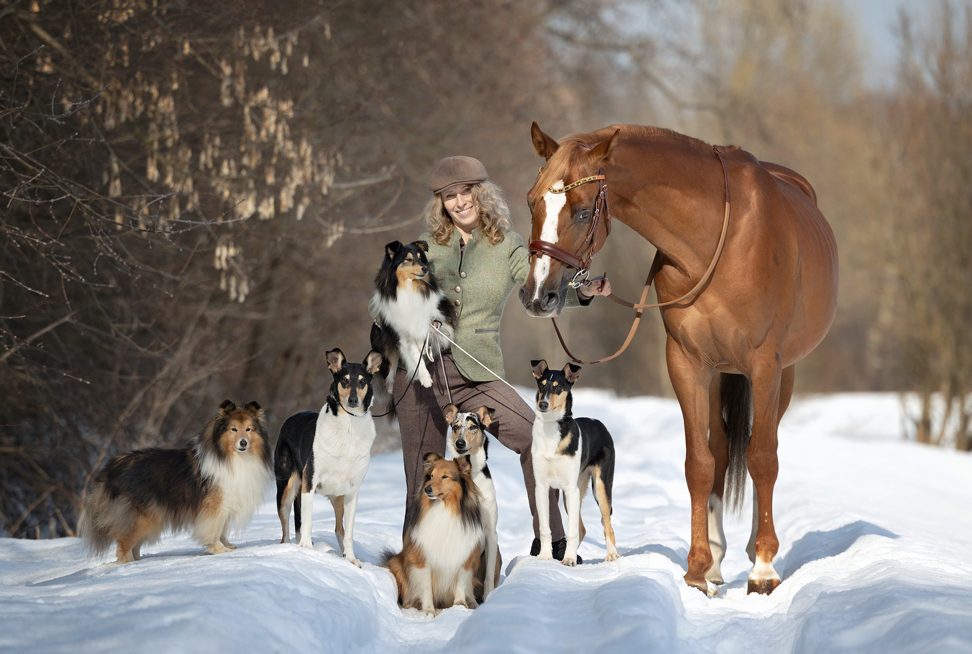 Лошади. Фотограф Анастасия Ветковская, Москва