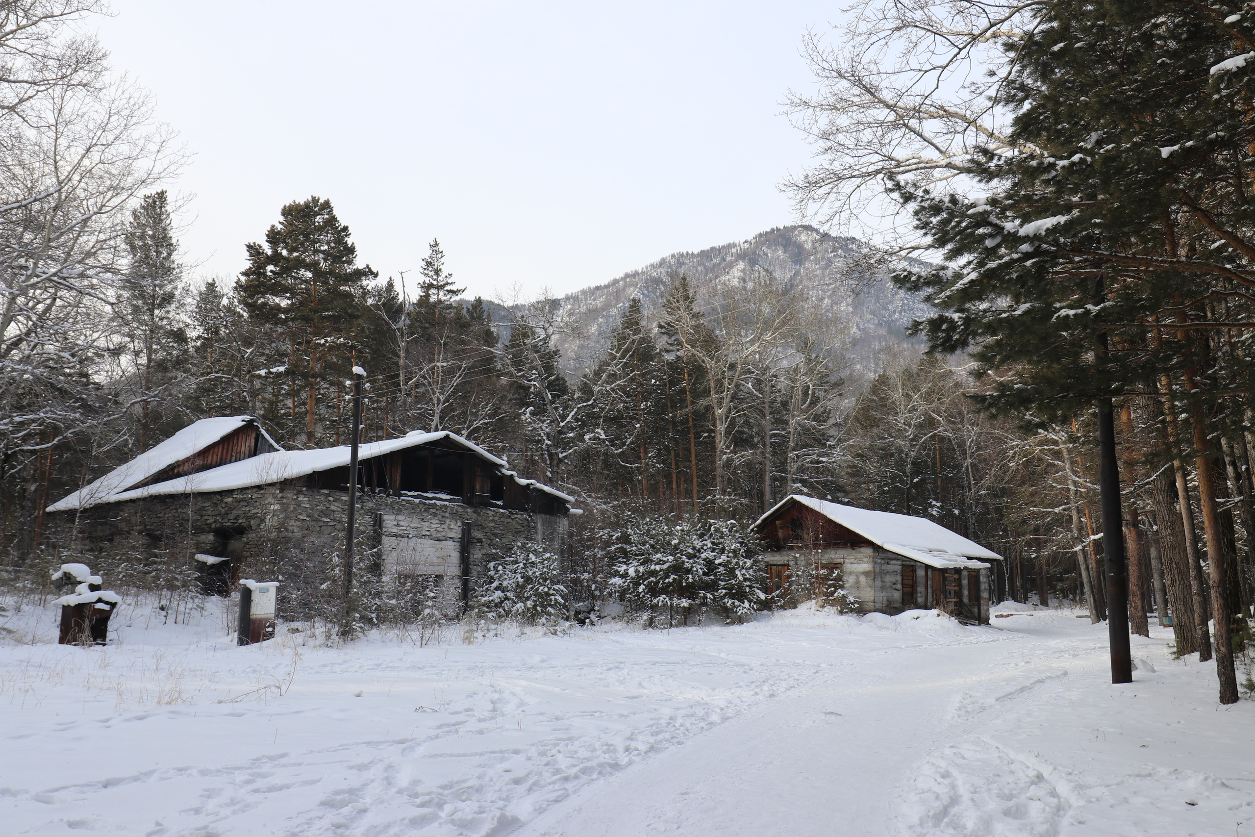 Аршан. Январь 2022. Путешественник-фотограф из Санкт-Петербурга Татьяна Свистулина