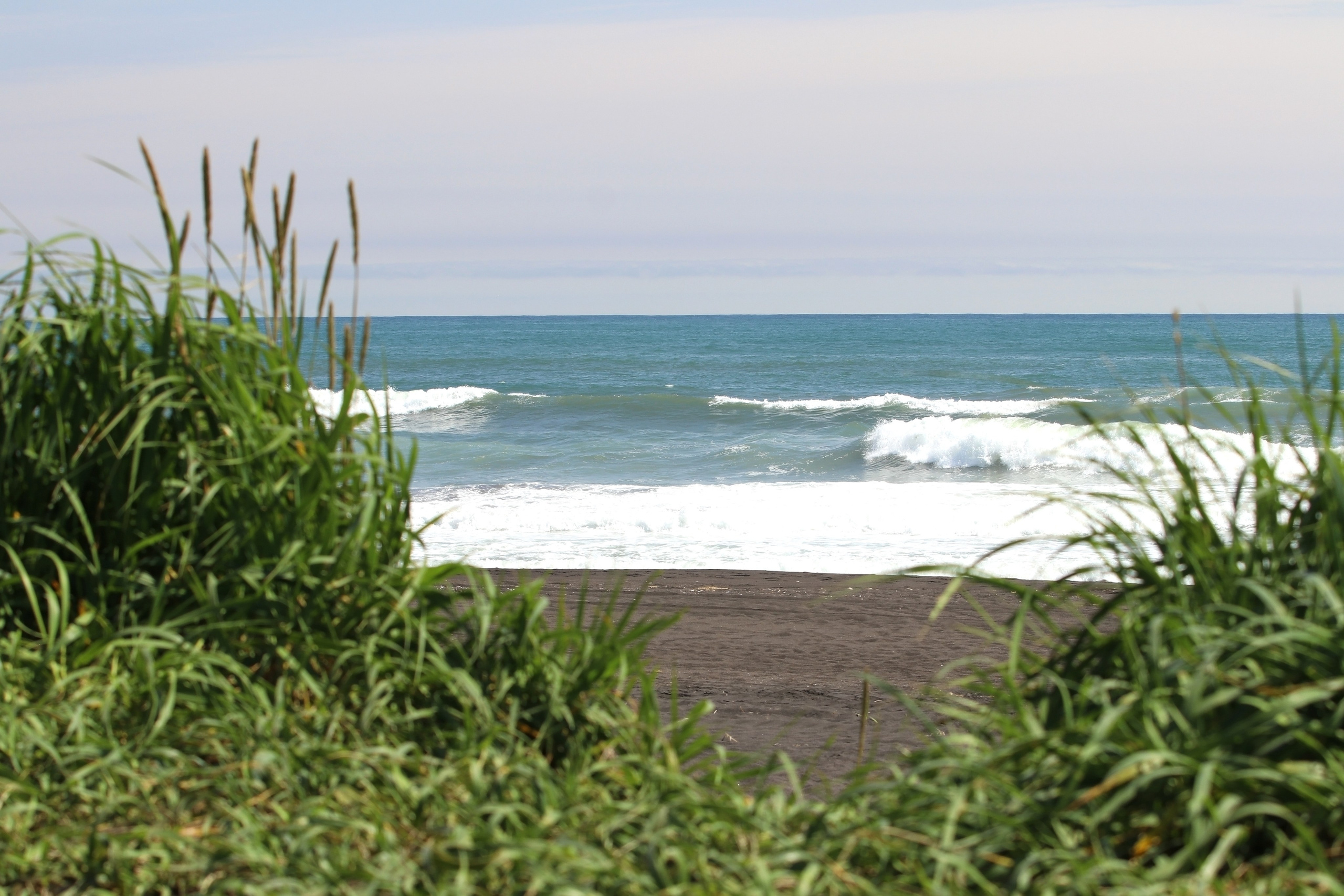 Камчатка и о. Парамушир. Июль 2024. Путешественник-фотограф из Санкт-Петербурга Татьяна Свистулина