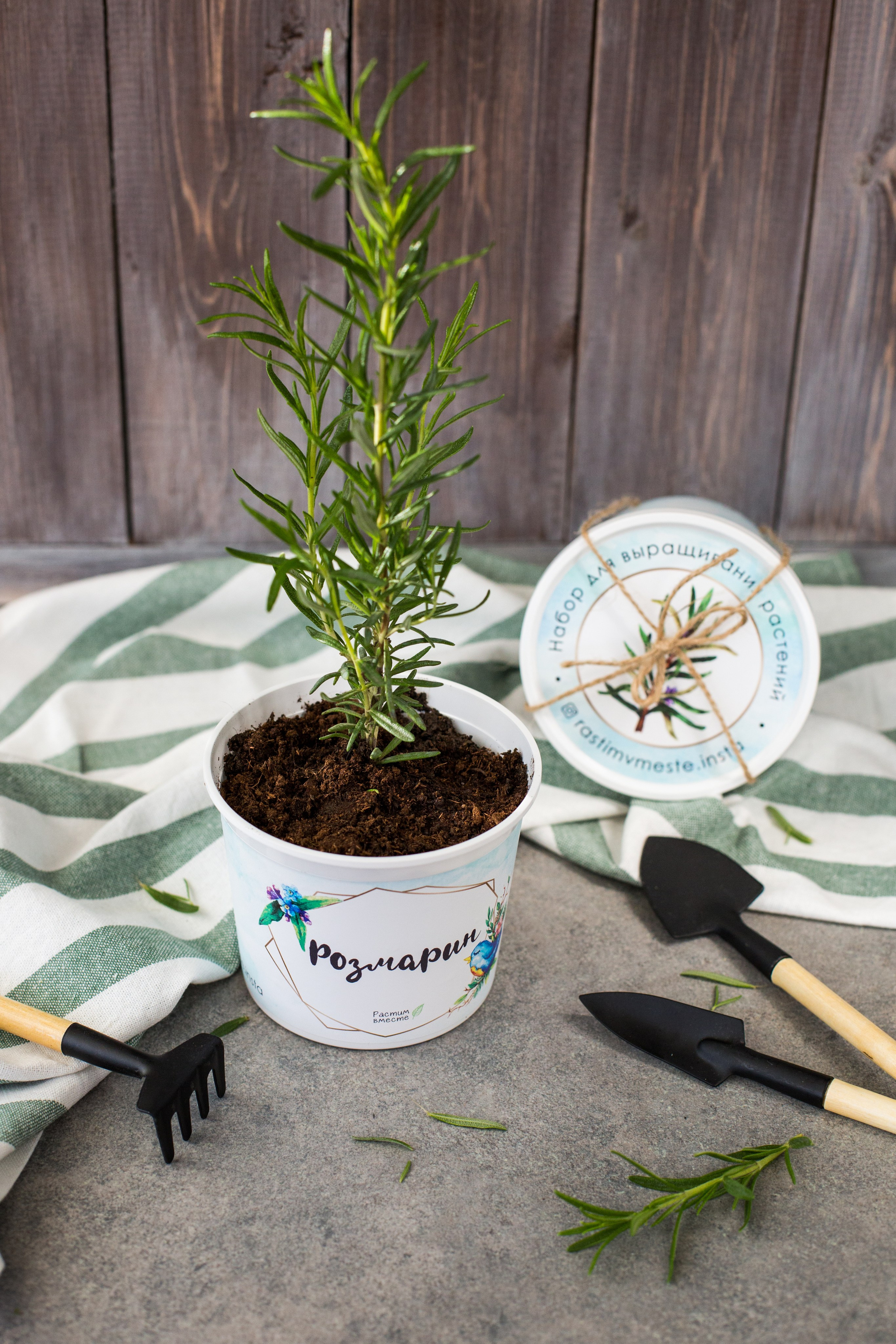 Растим вместе. Главная