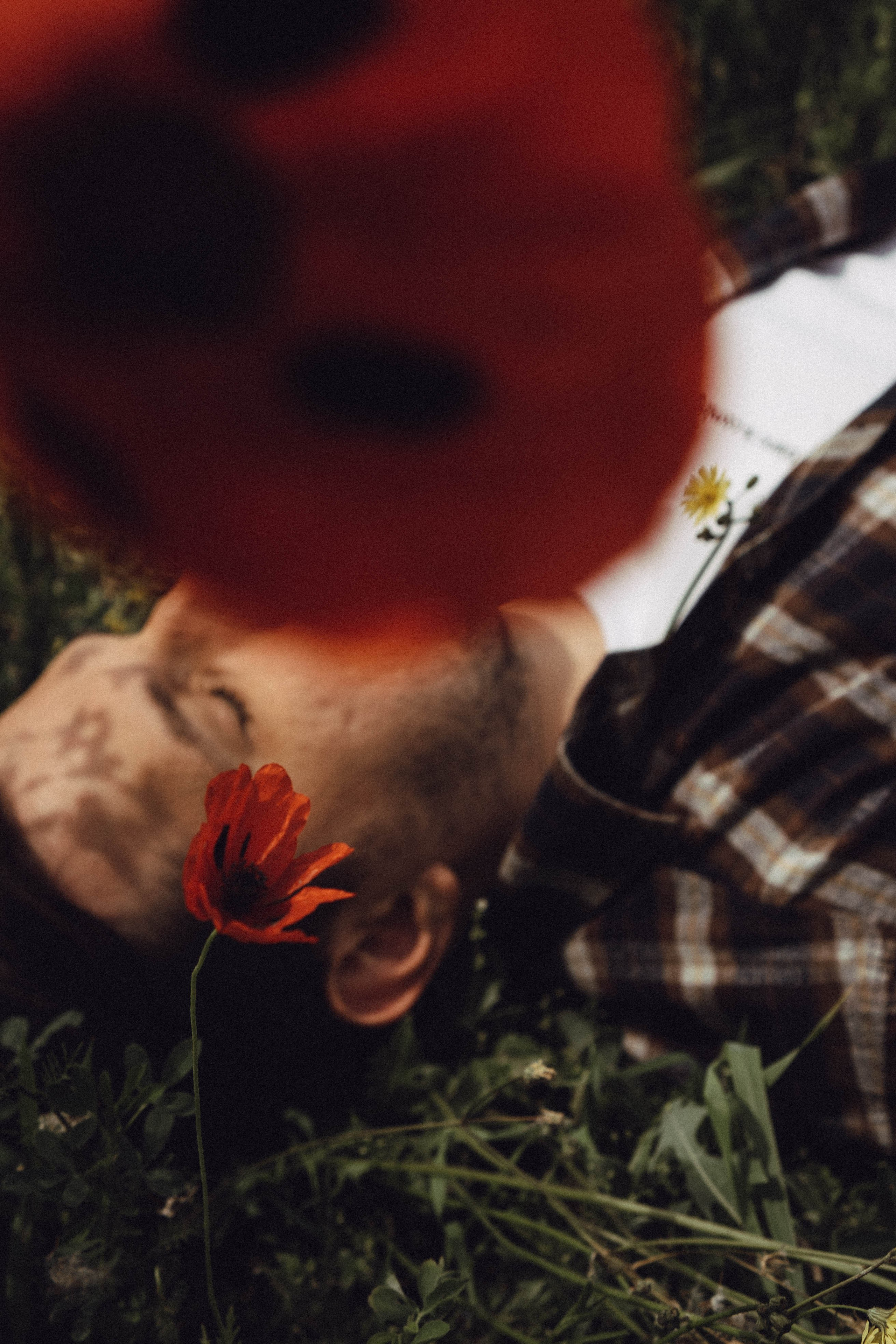 Маки. Профессиональный фотограф, Санкт-Петербург — Виктория Богомолова