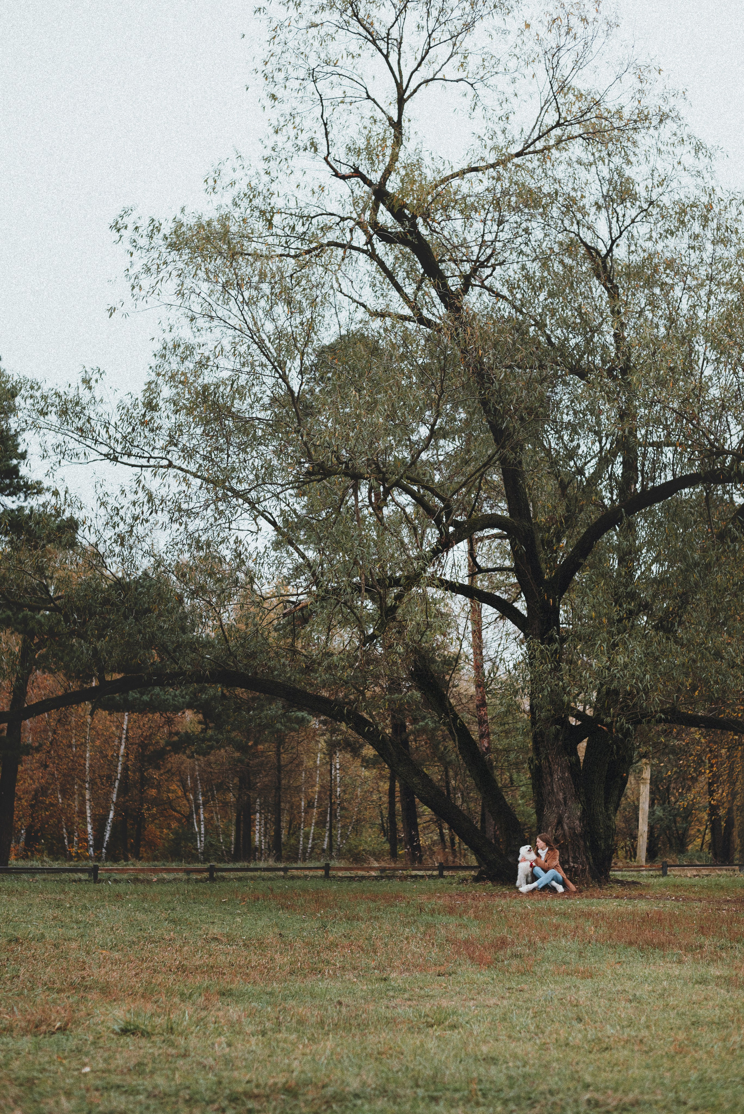 Valya & Varya. Natalia Finch Photography — Family, Kids & Pet Photographer in Chicago, IL