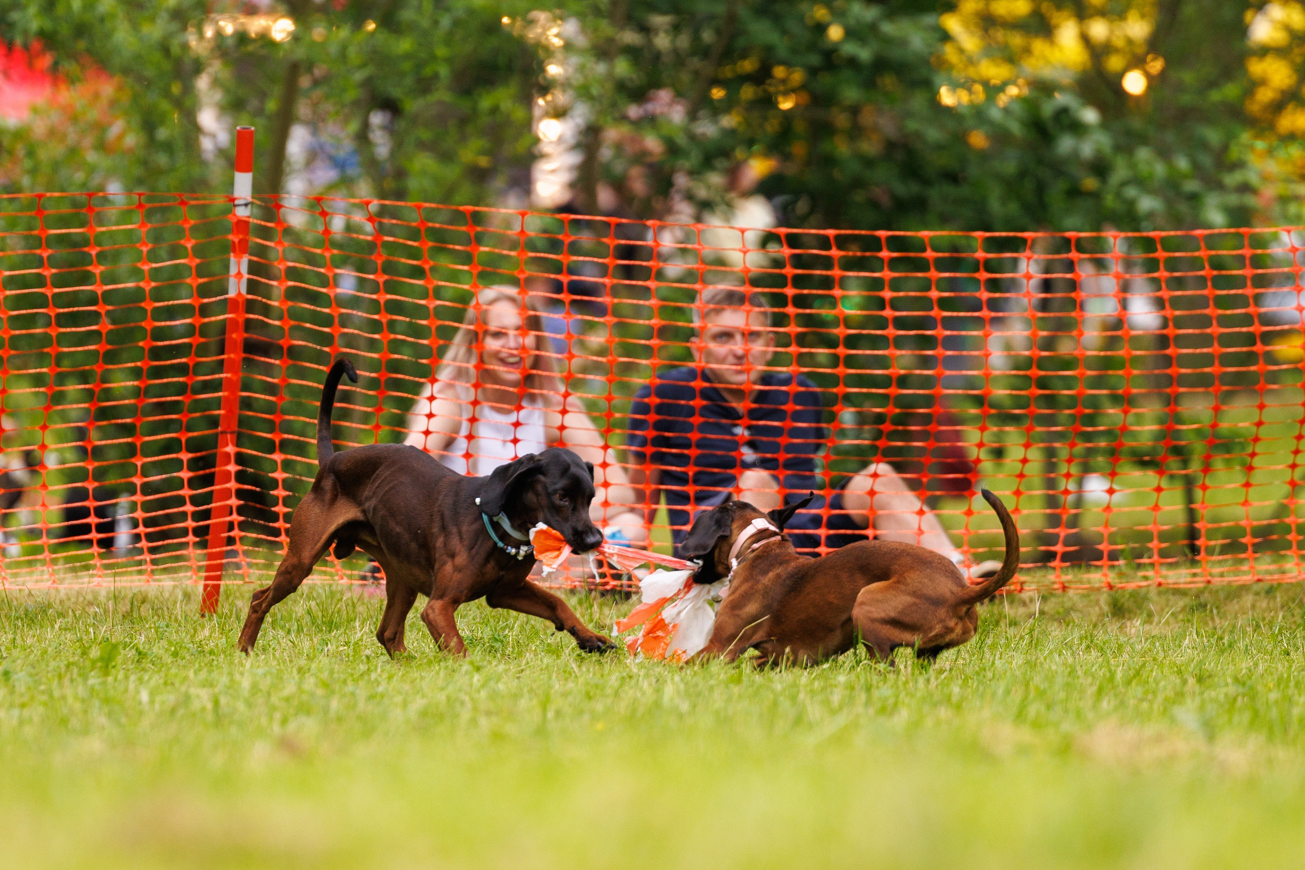 PetShopDays2026. Фотограф Александр Заломаев