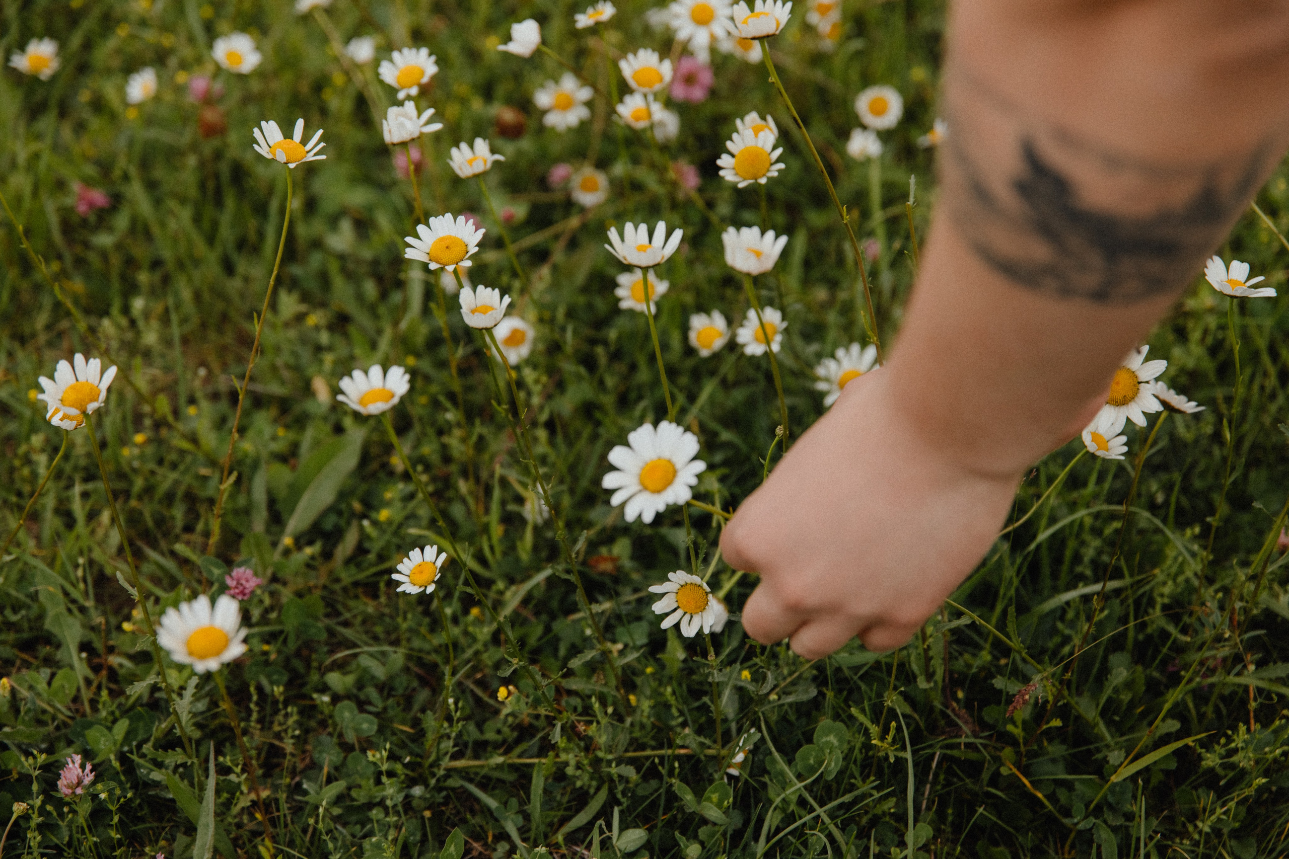 Парить над облаками. Свадебный фотограф Анастасия Пальчикова