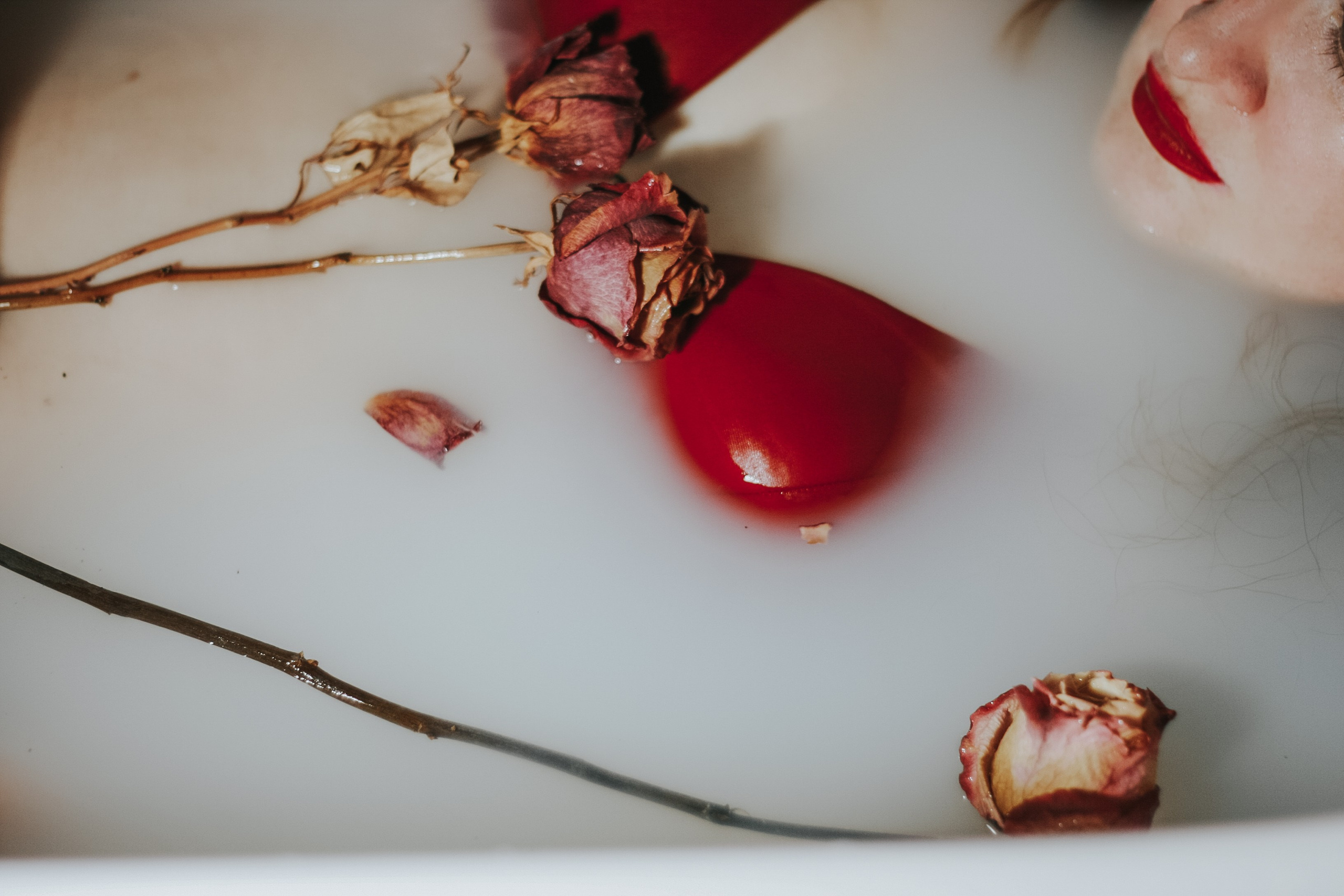 Молоко и розы. Espero Photographer — Фотограф в Санкт-Петербурге