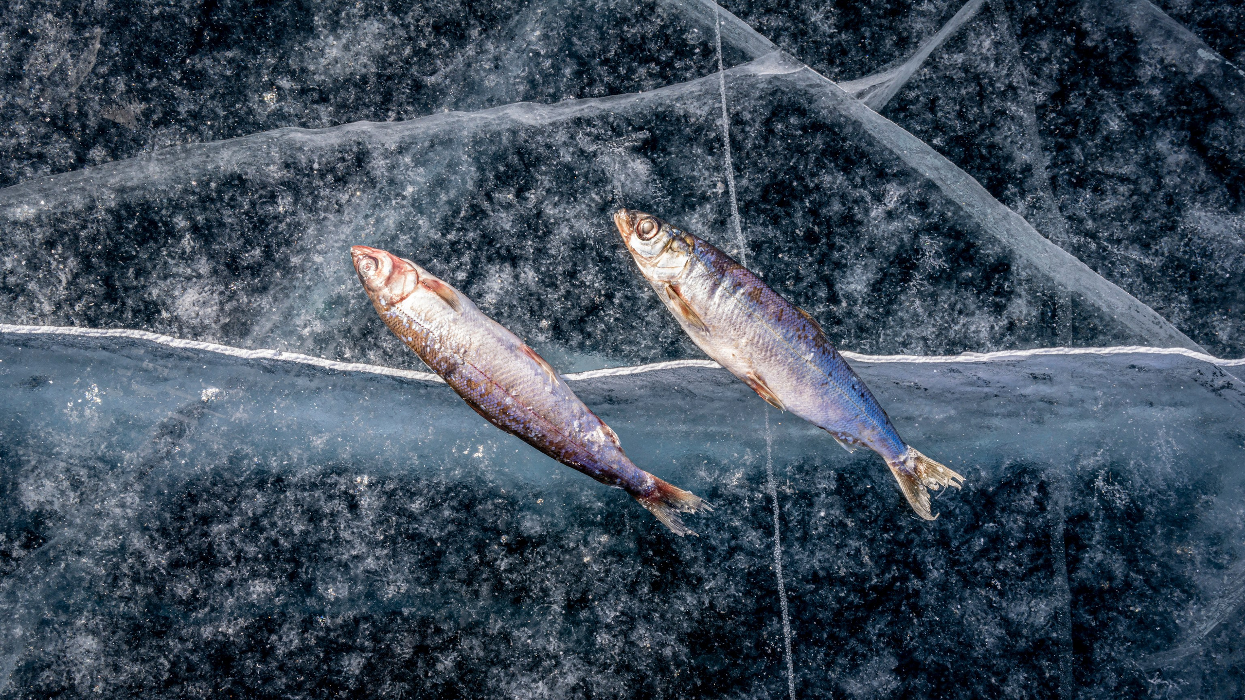 Байкал (март 2021). Фотограф Сергей Танков