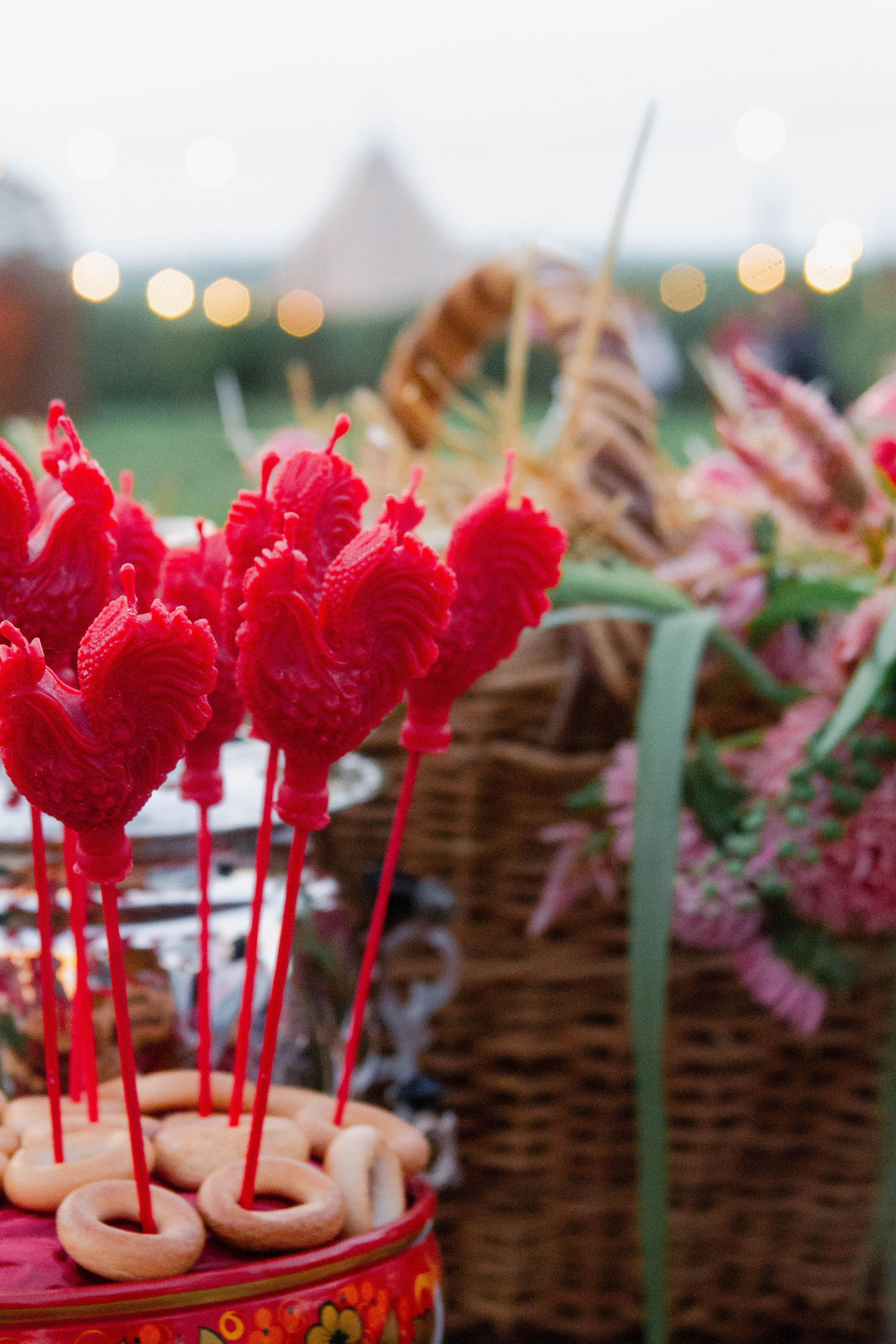 Жатва 2025. Фотограф Маша Корнеева