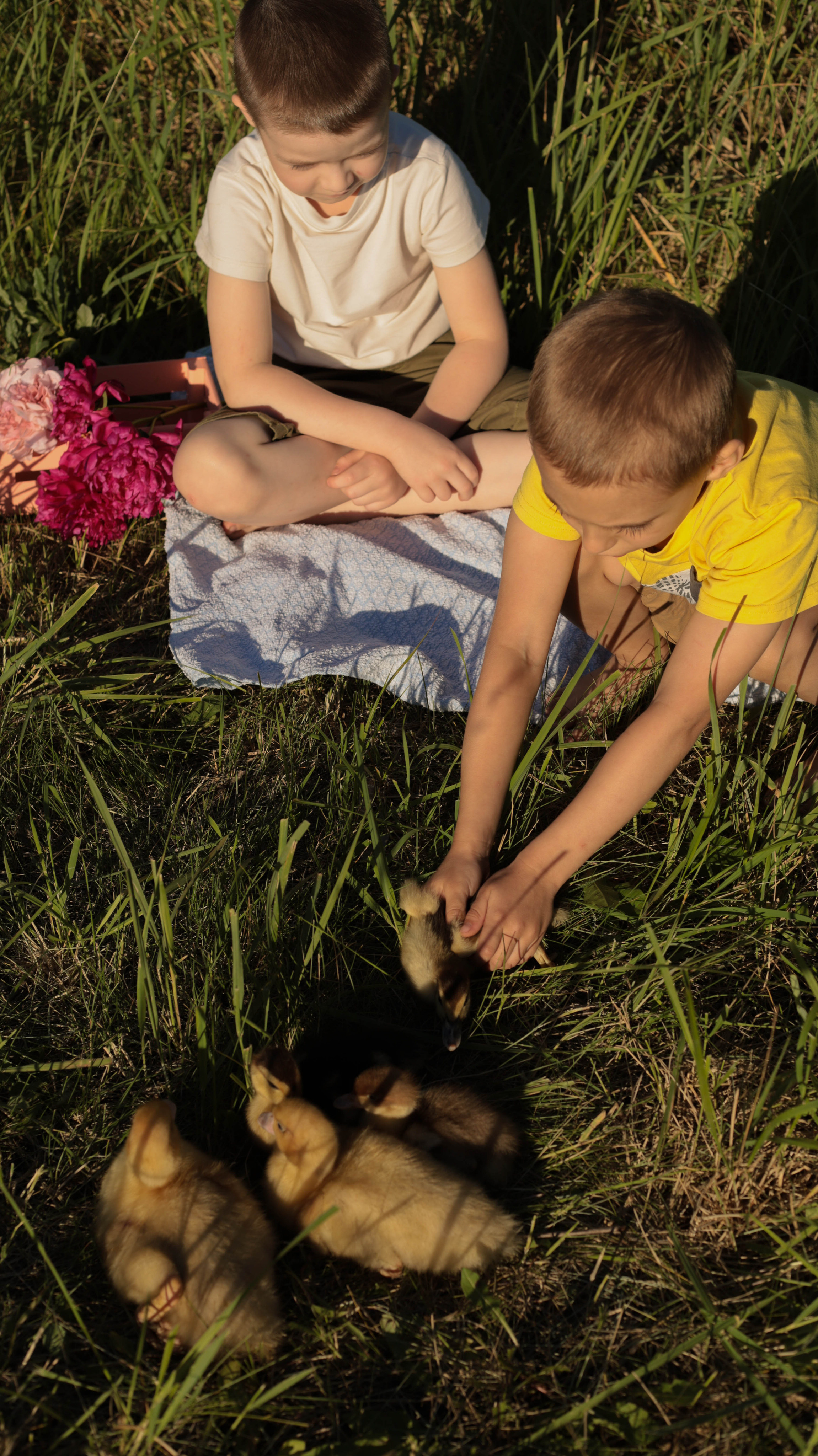 Утята. Семейный и детский фотограф в Тольятти Ирина Карпенцова