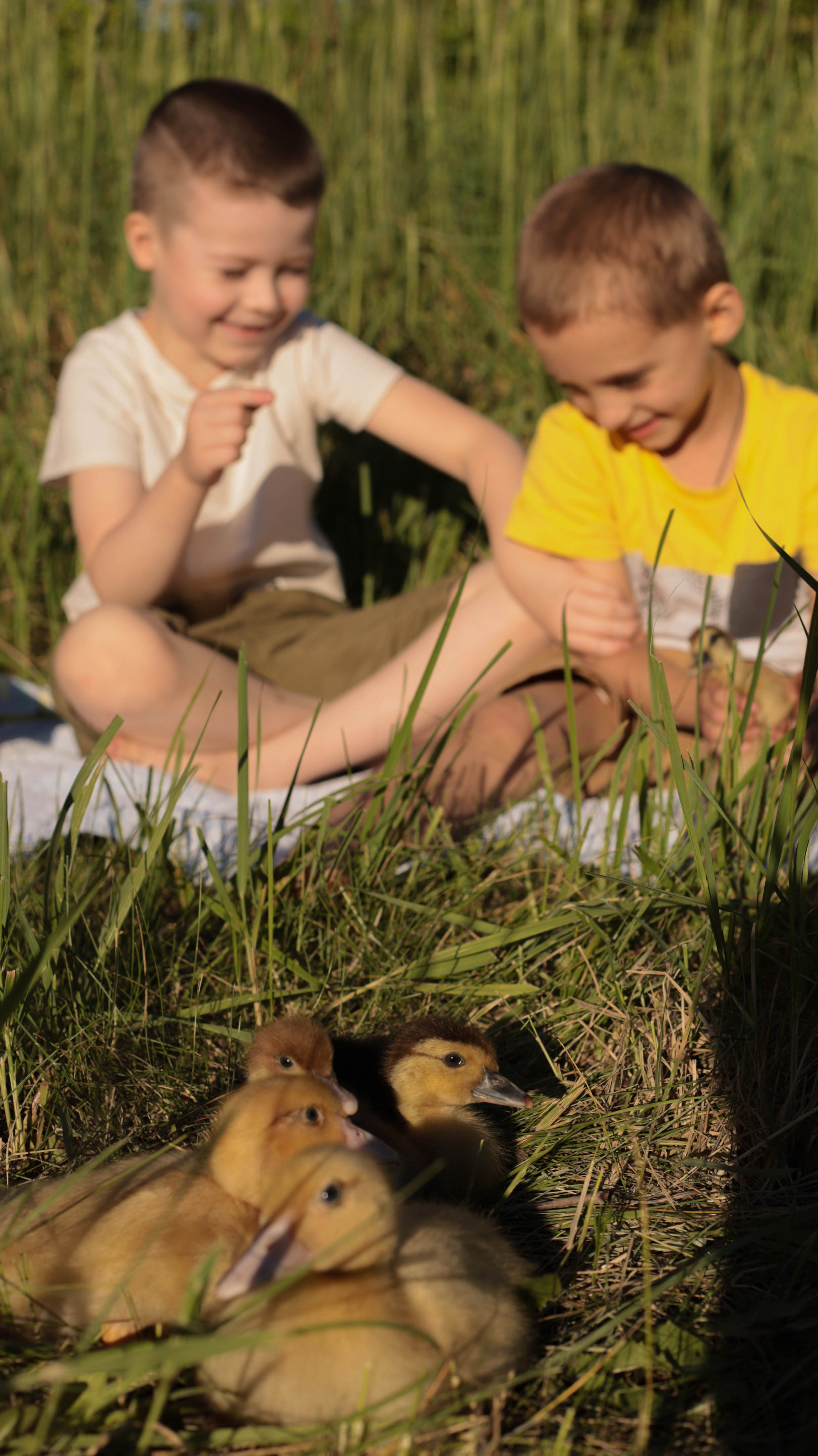 Утята. Семейный и детский фотограф в Тольятти Ирина Карпенцова