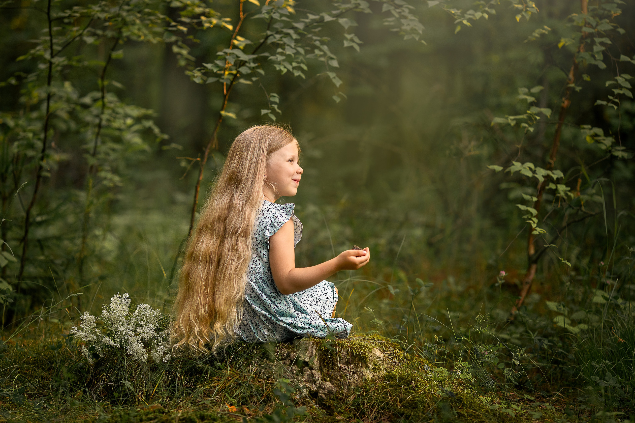 Солнце сквозь сосны-великаны. Детский и семейный фотограф в Красноярске Елена Коровкина