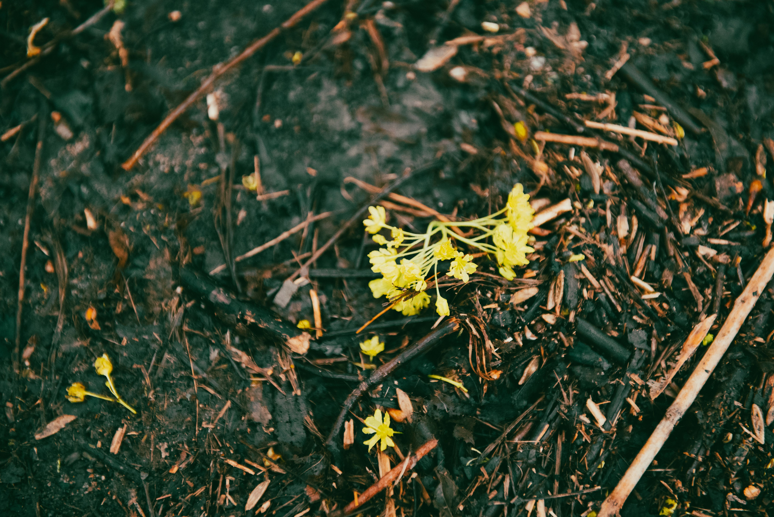 Текстуры апреля. Портретный и архитектурный фотограф в Москве и Санкт-Петербурге