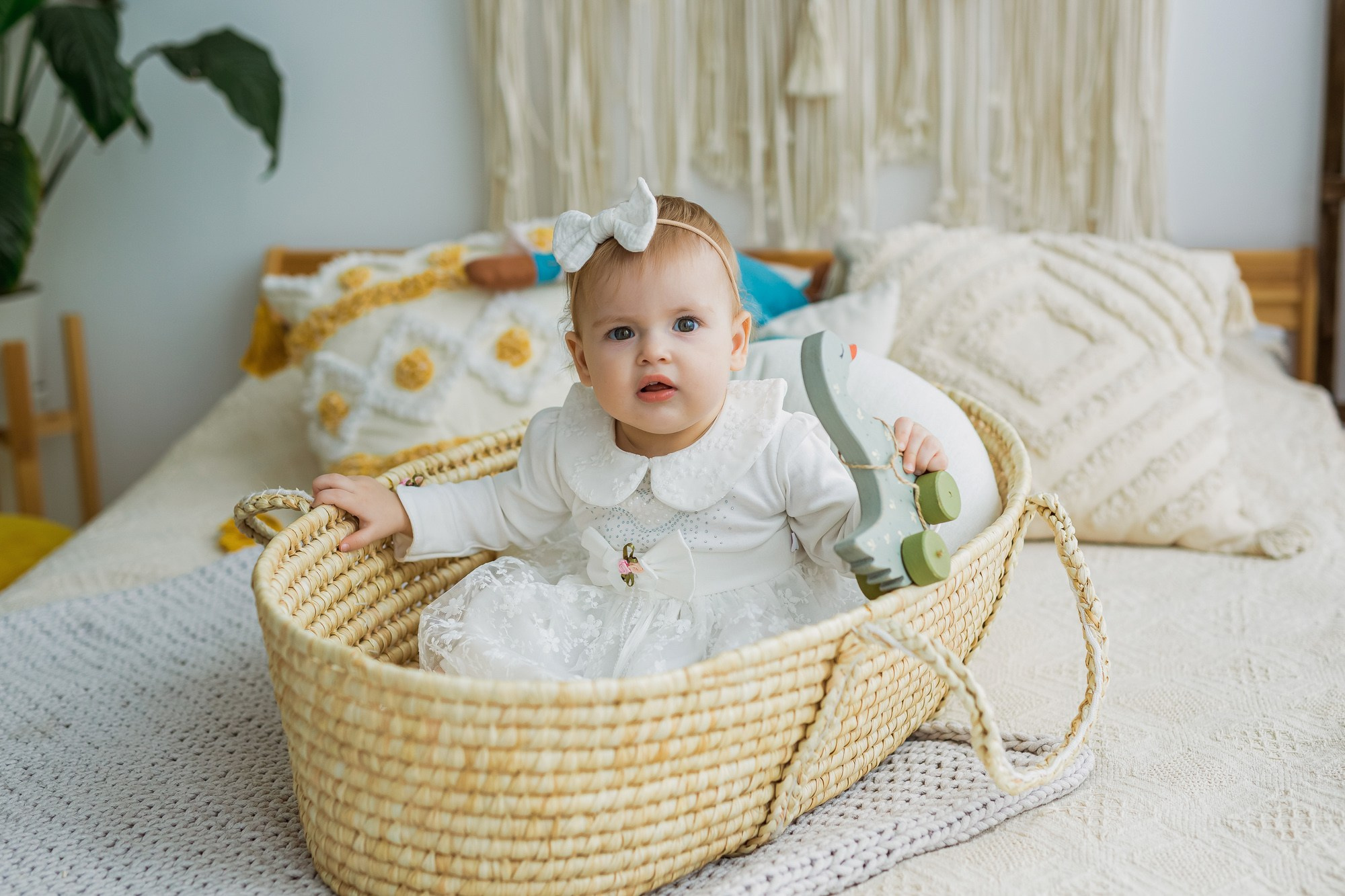 Фотостудии Барнаул. Свадебный репортажный и фуд фотограф в Барнауле Гайфулин Виталий