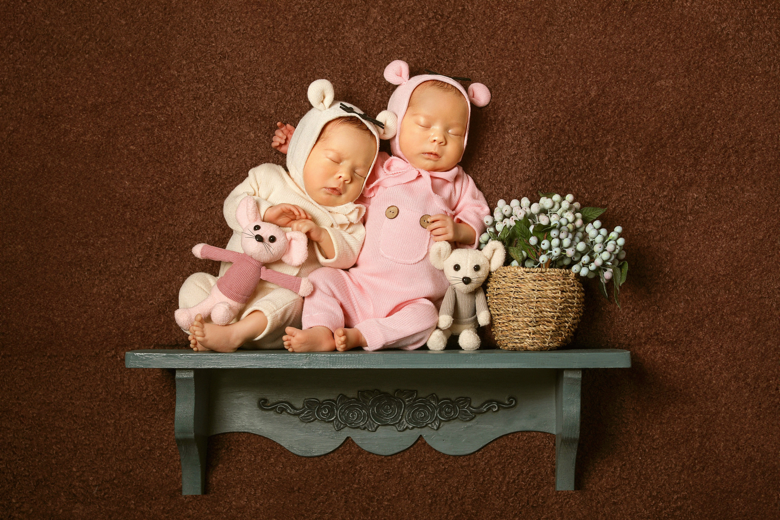 Фотосессия новорожденной двойни. Фотограф новорожденных в г. Великий Новгород — Екатерина Новикова