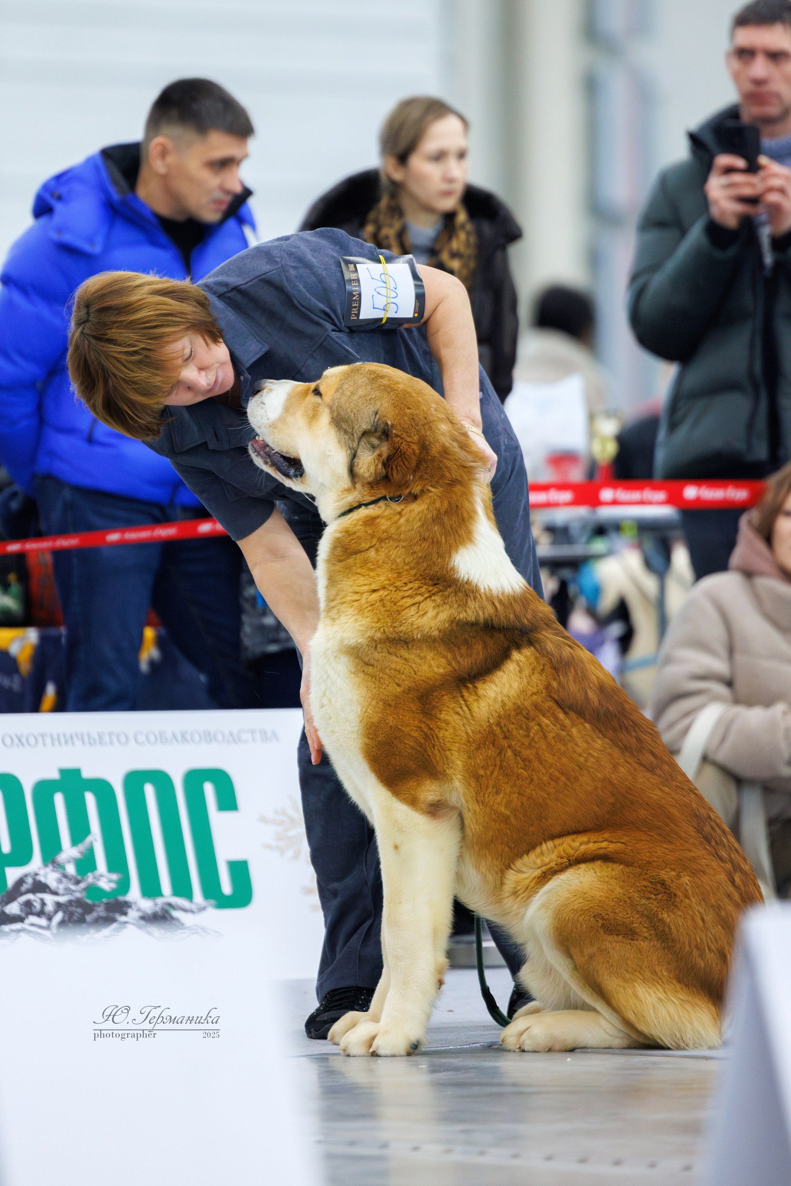 Сабанеевка Казань 25-26.01.2025. Фотограф-анималист Юлия Германика