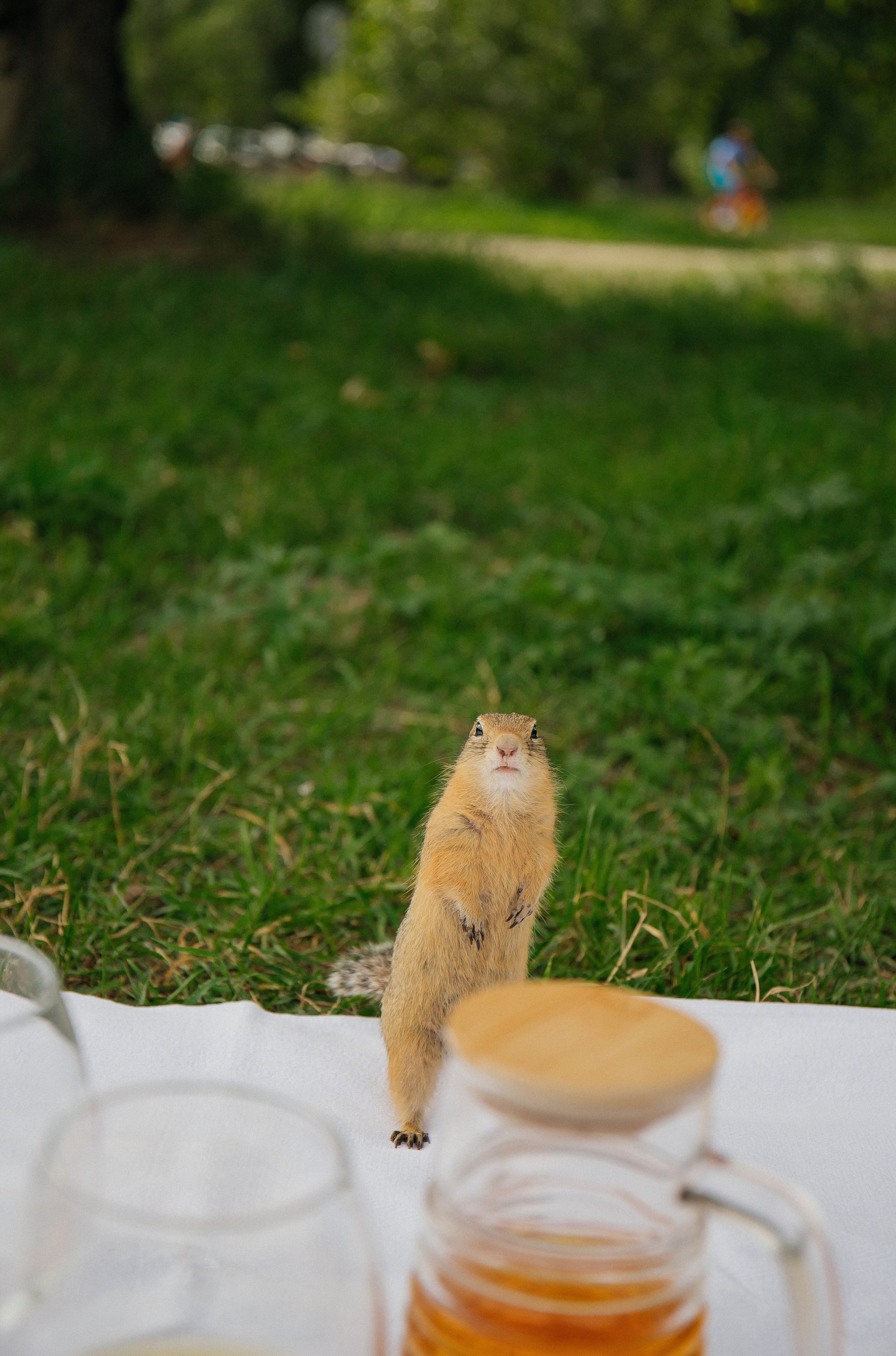 Летние девочки: Любовь и Кира. 