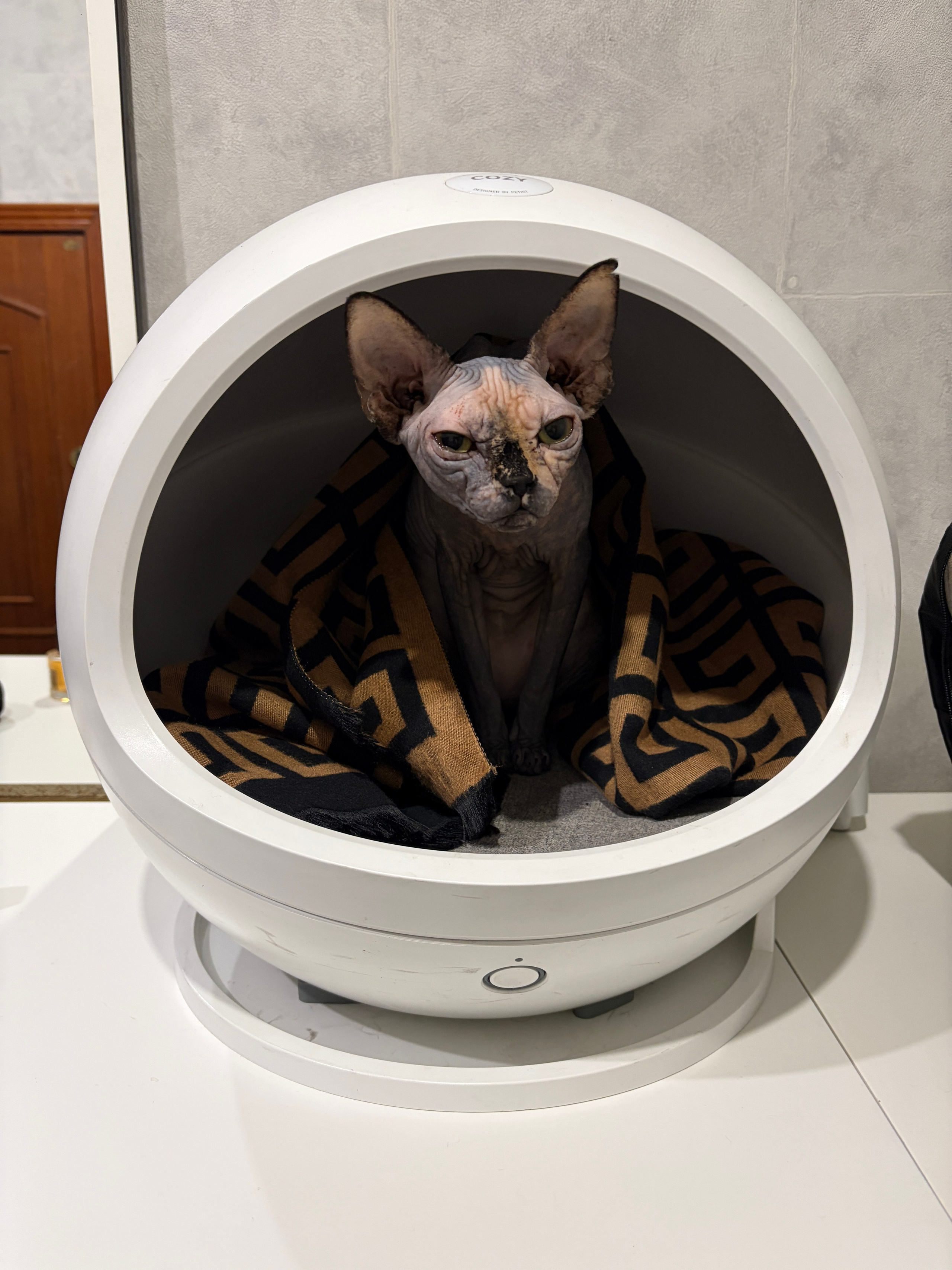 Шляпа. Такой вот…