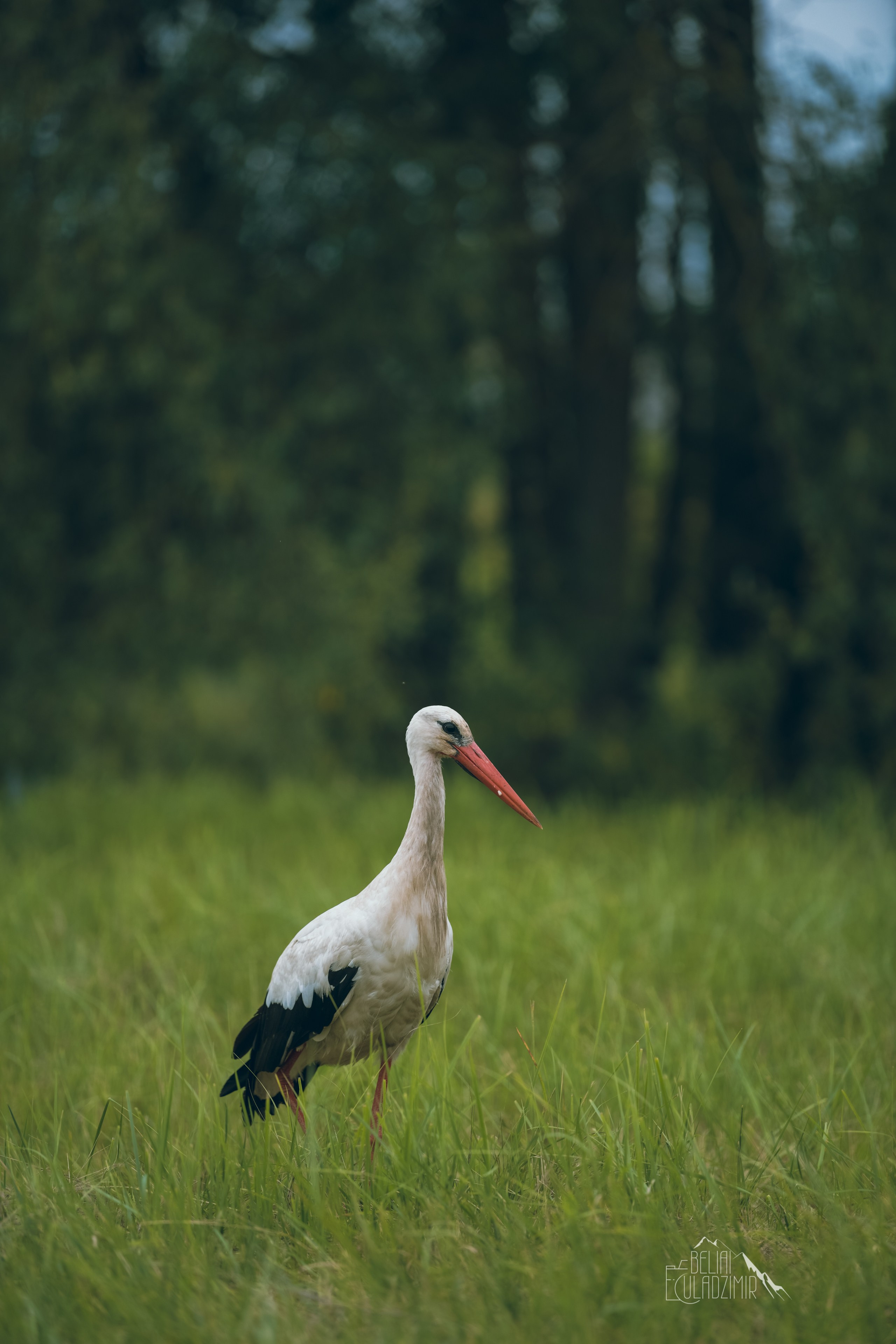 Сплавы 2025. Репортажный фотограф Владимир Беляй