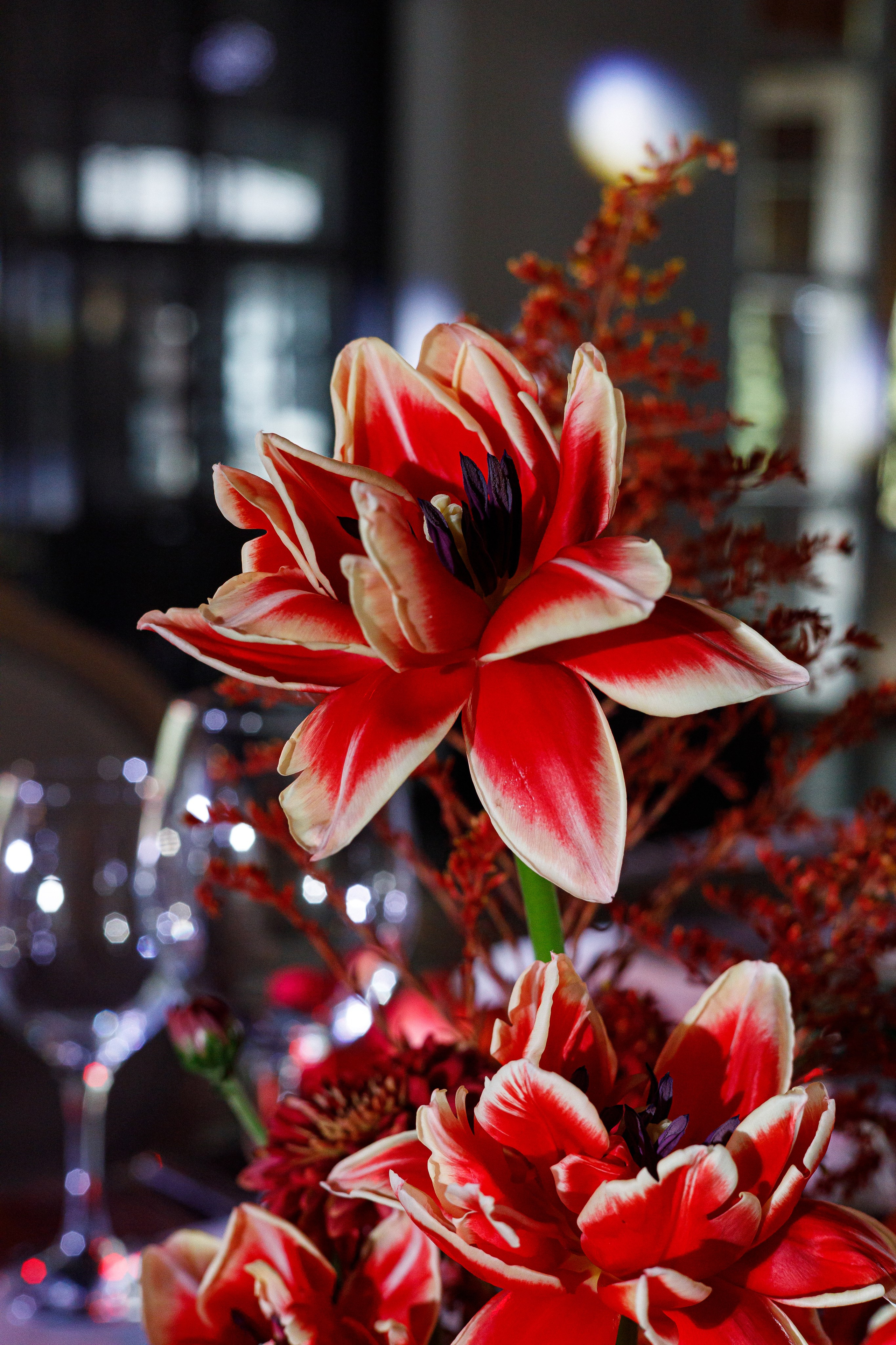 Владик и Ира. Свадебный и семейный фотограф в Ростове-на-Дону Анастасия Арестова