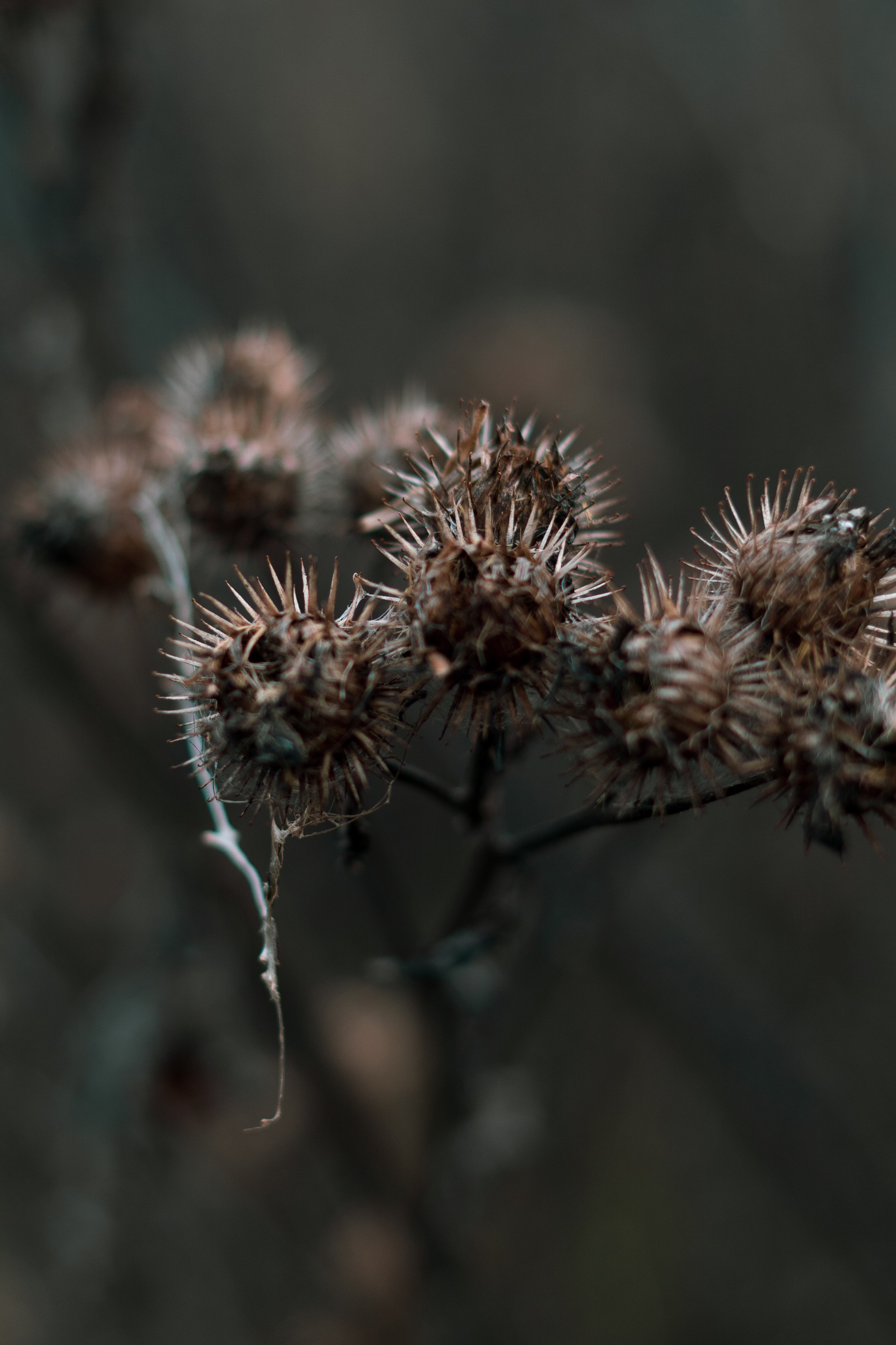 Природа. Фотограф Ирина Иванова