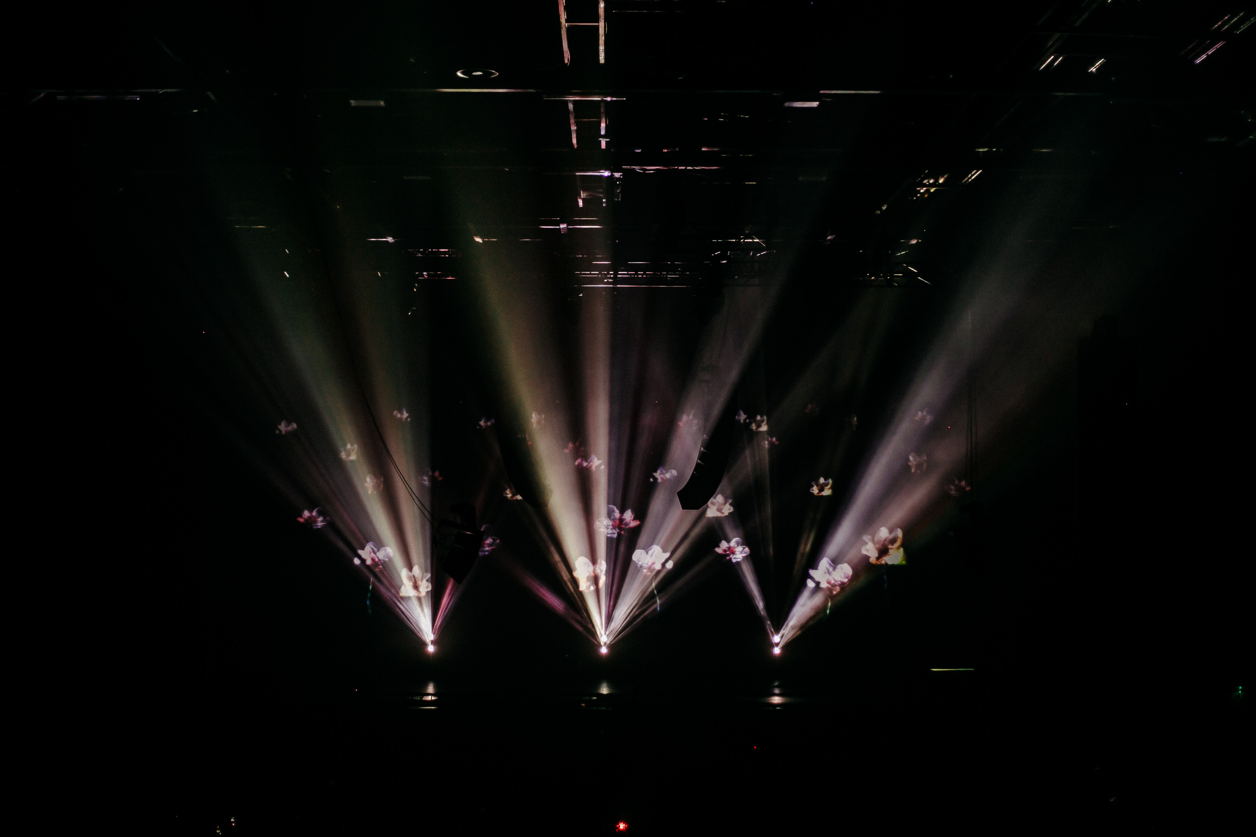 Husky / 2021. OOPS TEAM