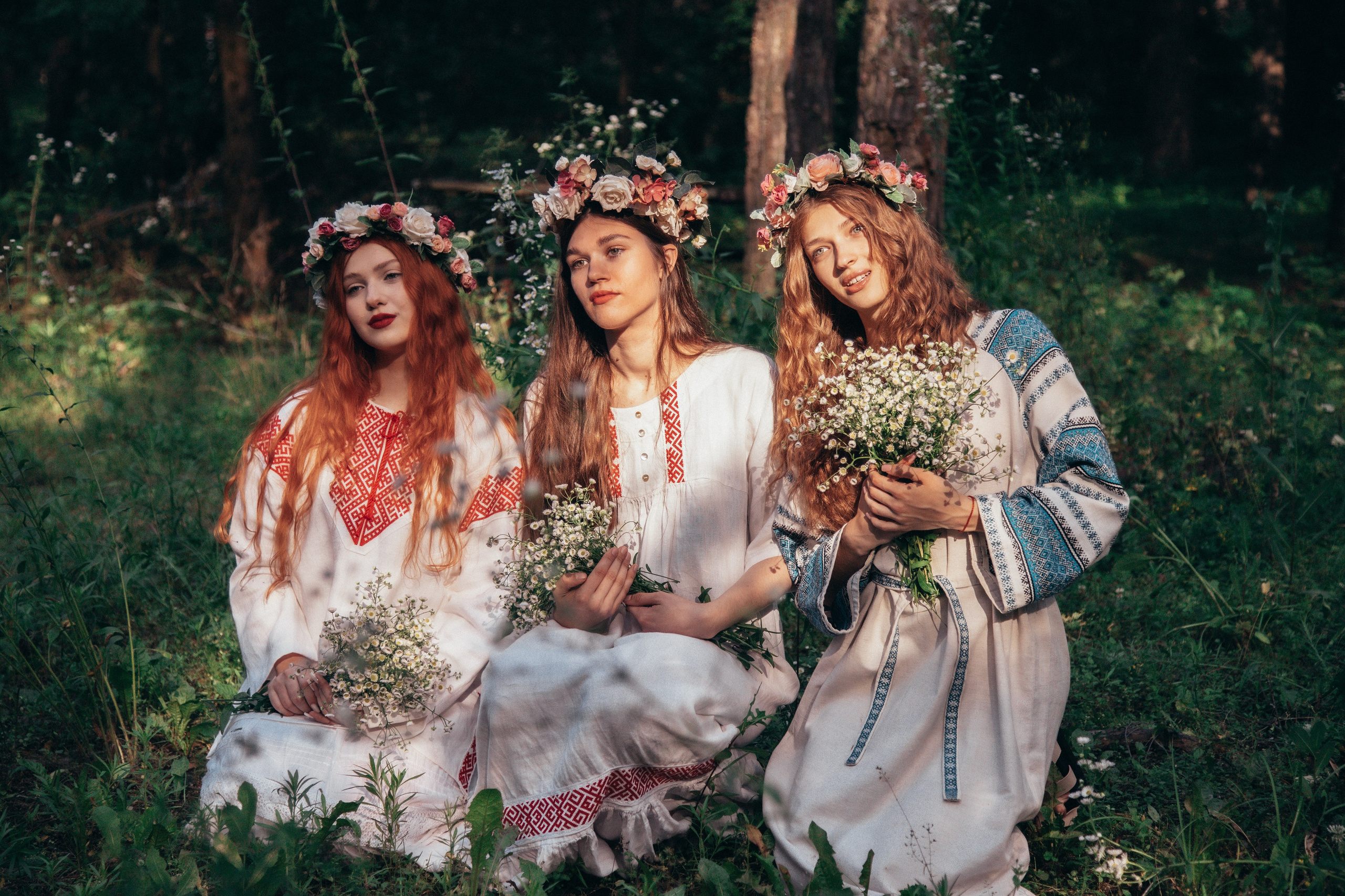 Волшебный лес. Фотограф Михайлова Анастасия | Белгород