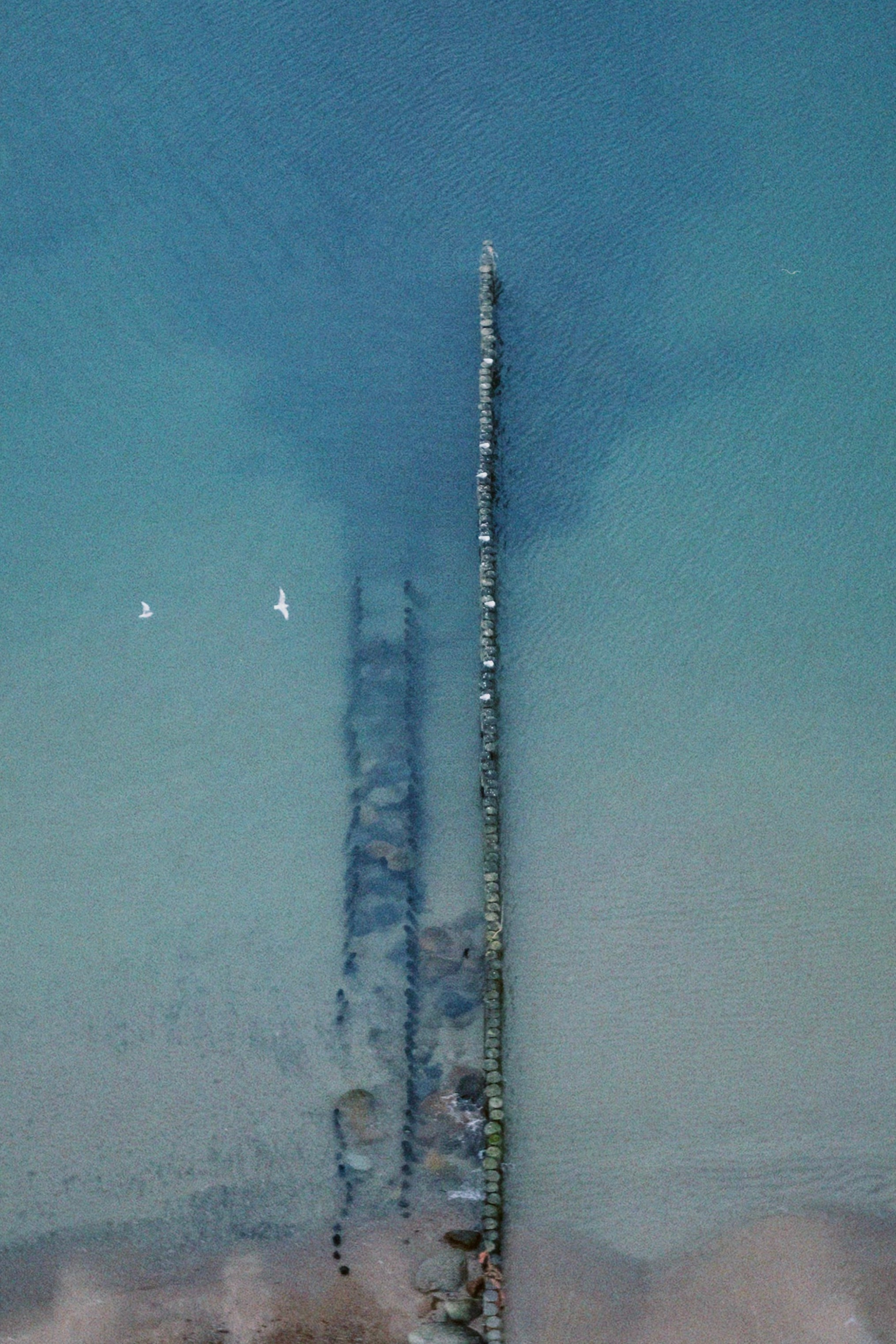 Калининград. Татьян гертье