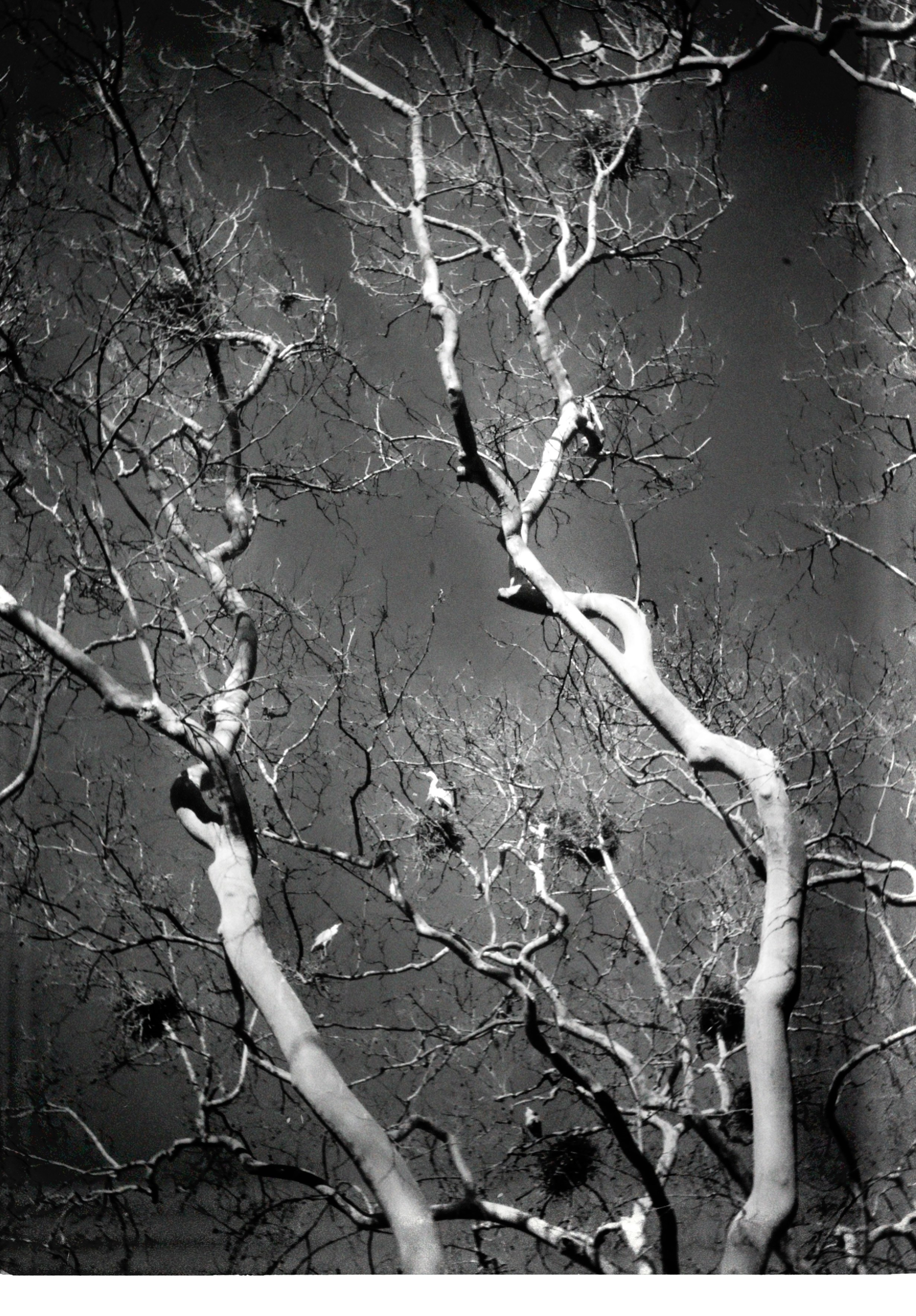 Стамбул. Татьян гертье