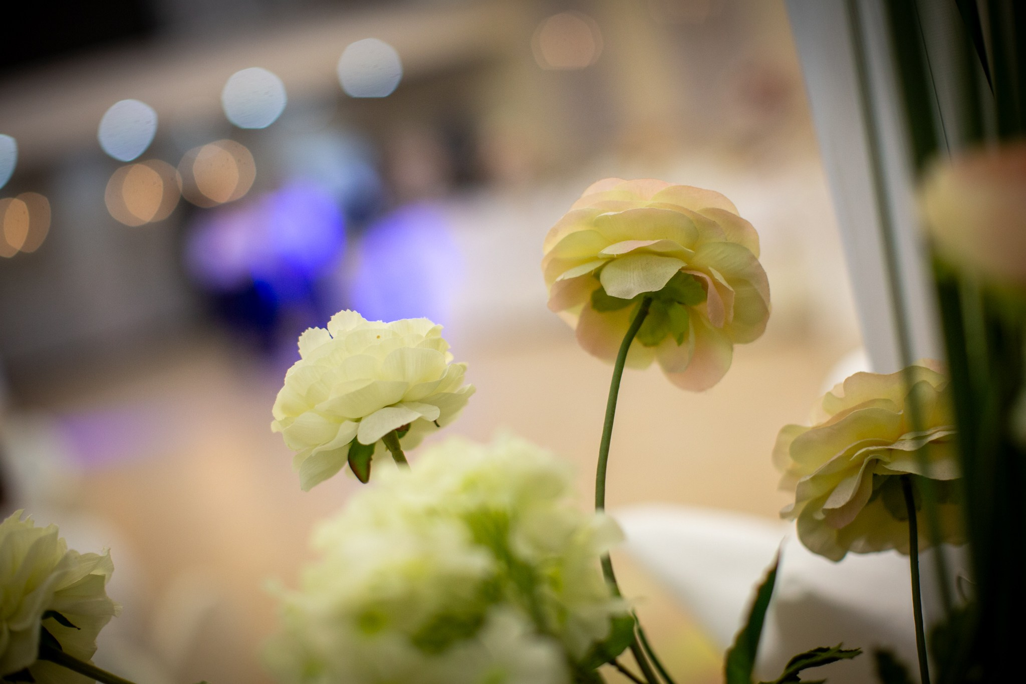 2025.02.01 KAZAKHMYS Youth Team Chess CUP 2025 — Closing Ceremony. Фотограф Анна Штурман (репортажная съёмка любых событий и мероприятий) Anna Shtourman photographer