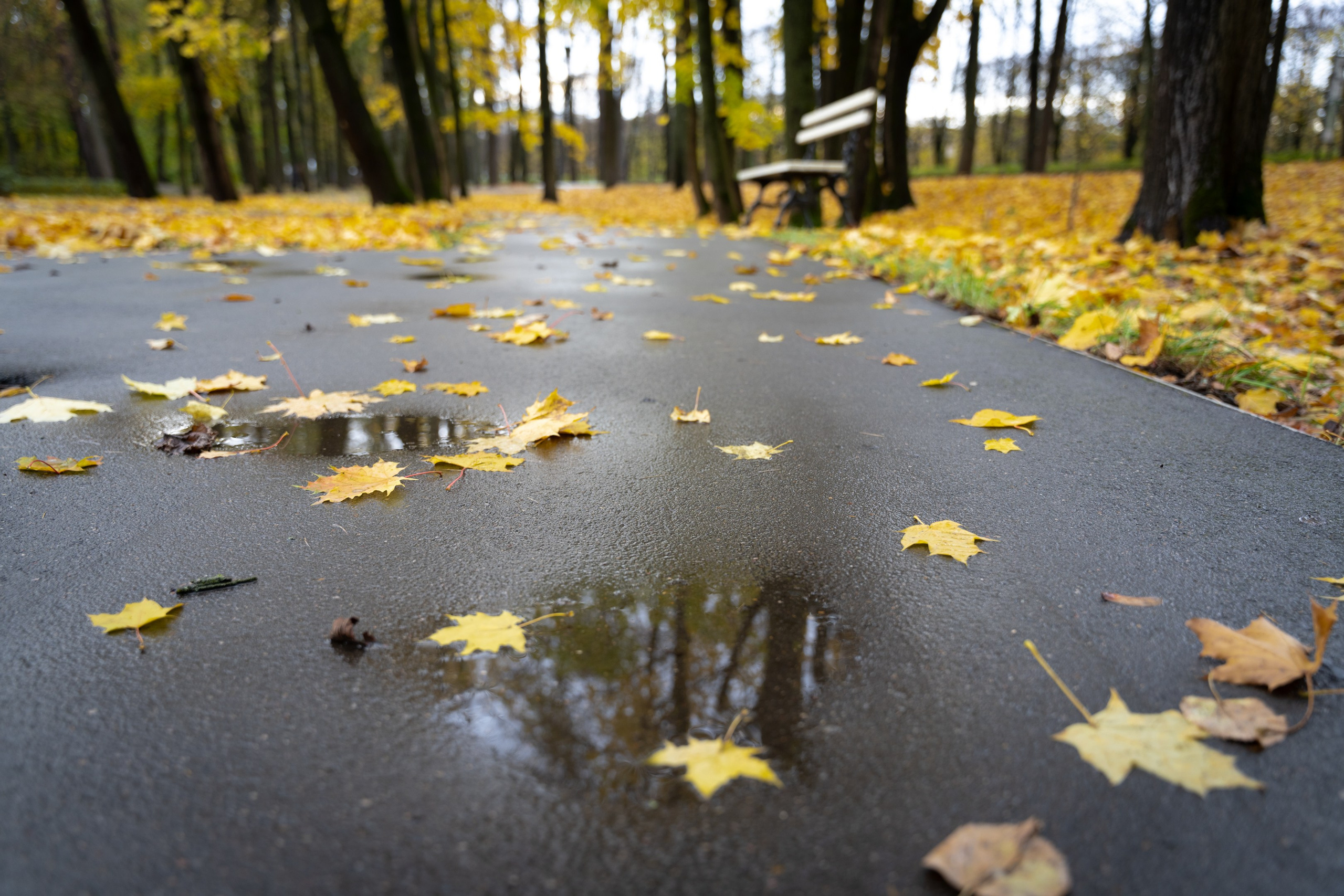 Архангельское. ПОБУДЬ ЗДЕСЬ И ЦЕЛЕЕ БУДЕТ ЭТОТ МИР