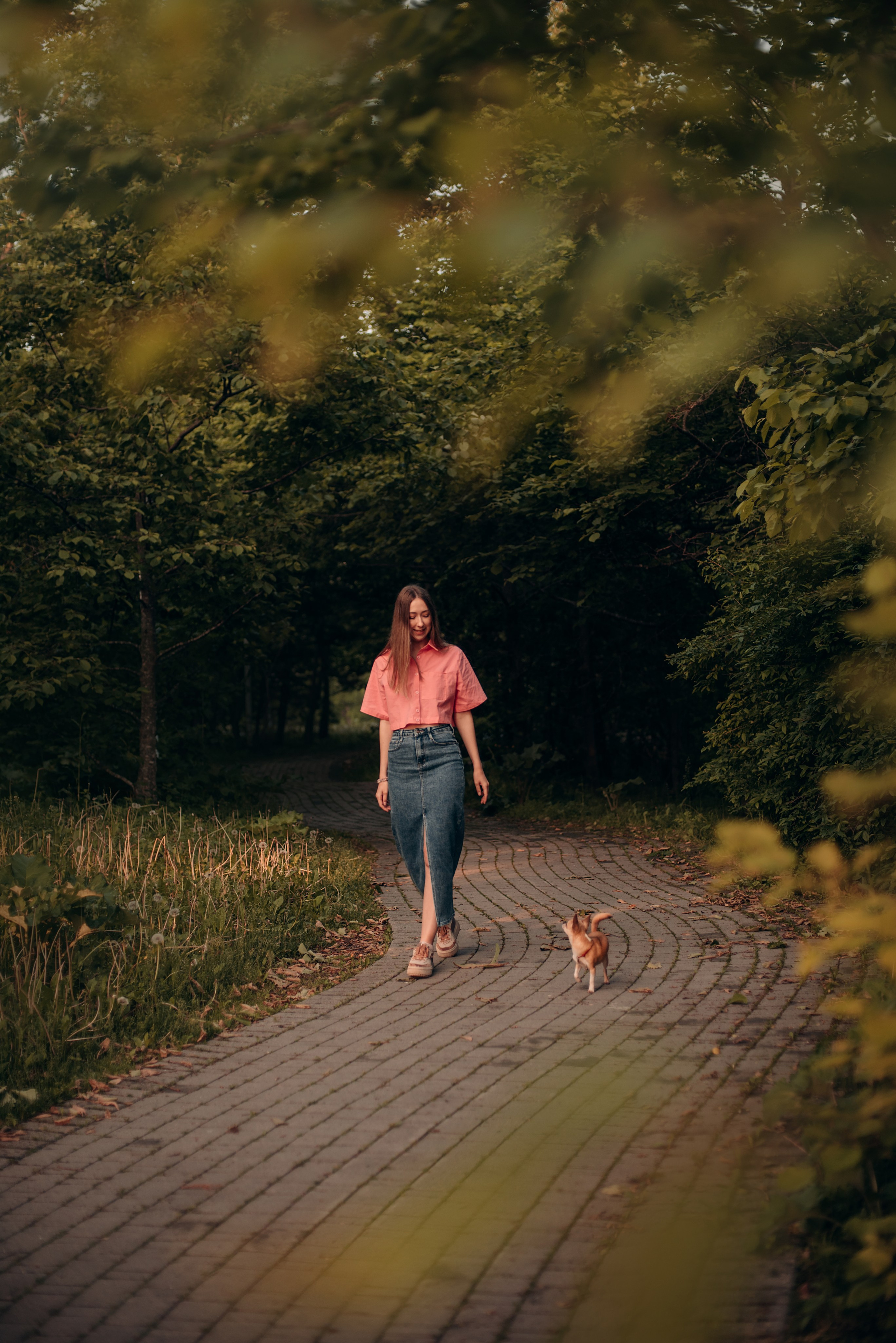 Прогулка: чихуахуа Хенни и Алина во Владивостоке. Портфолио