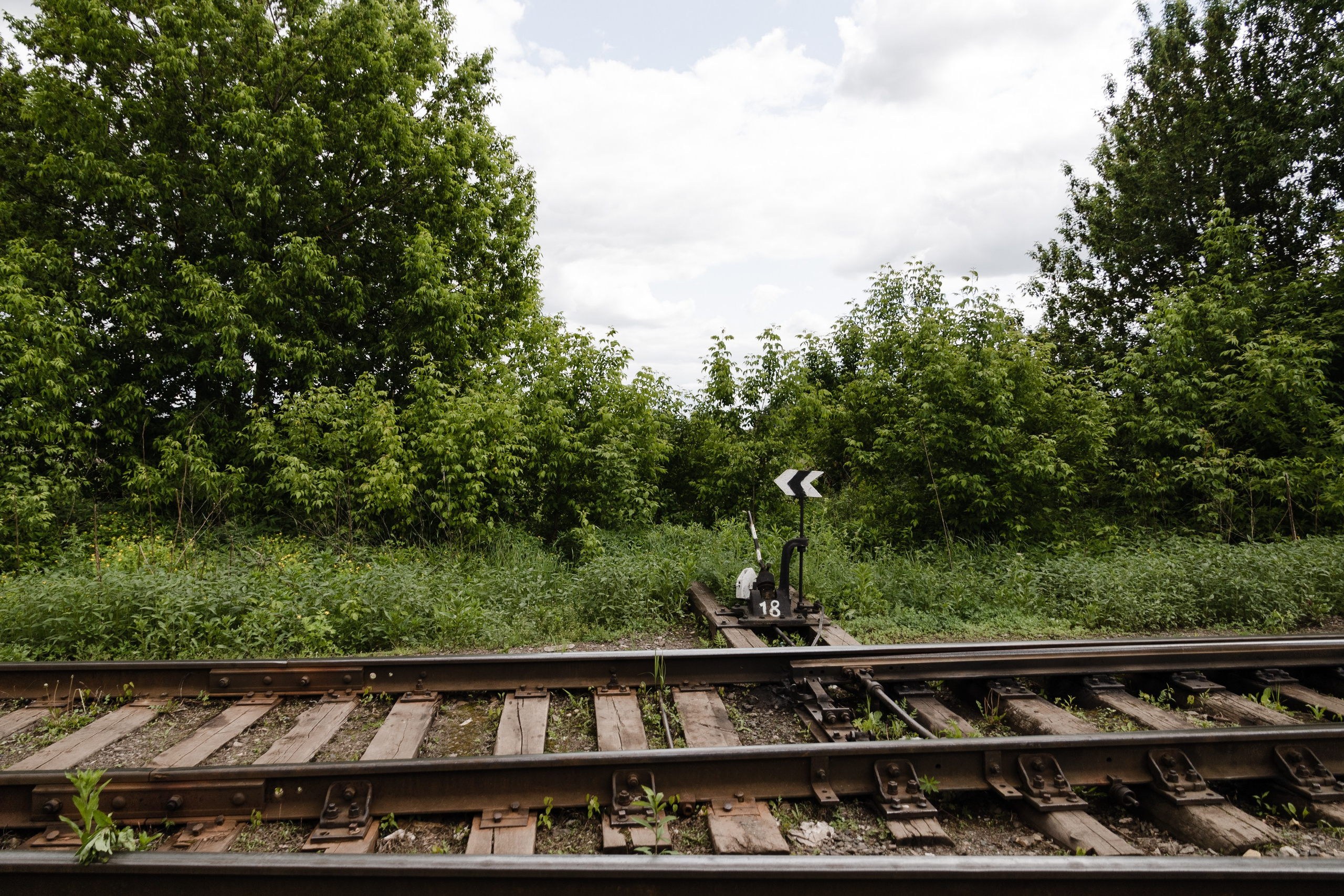 Открытый мир. DASHA KALNINA