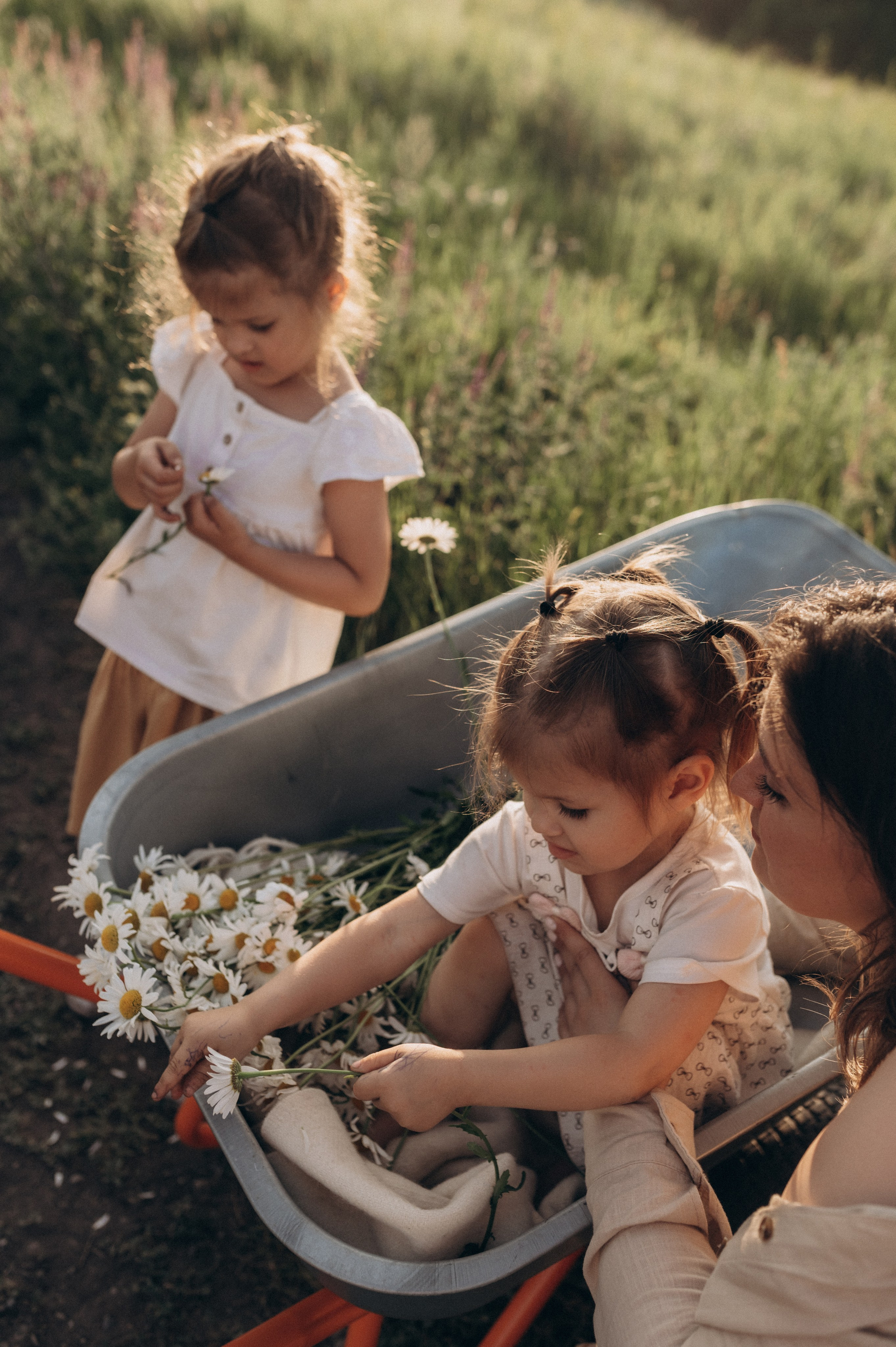 Летний вечер с самыми любимыми. Фотограф Мария Стрелкова