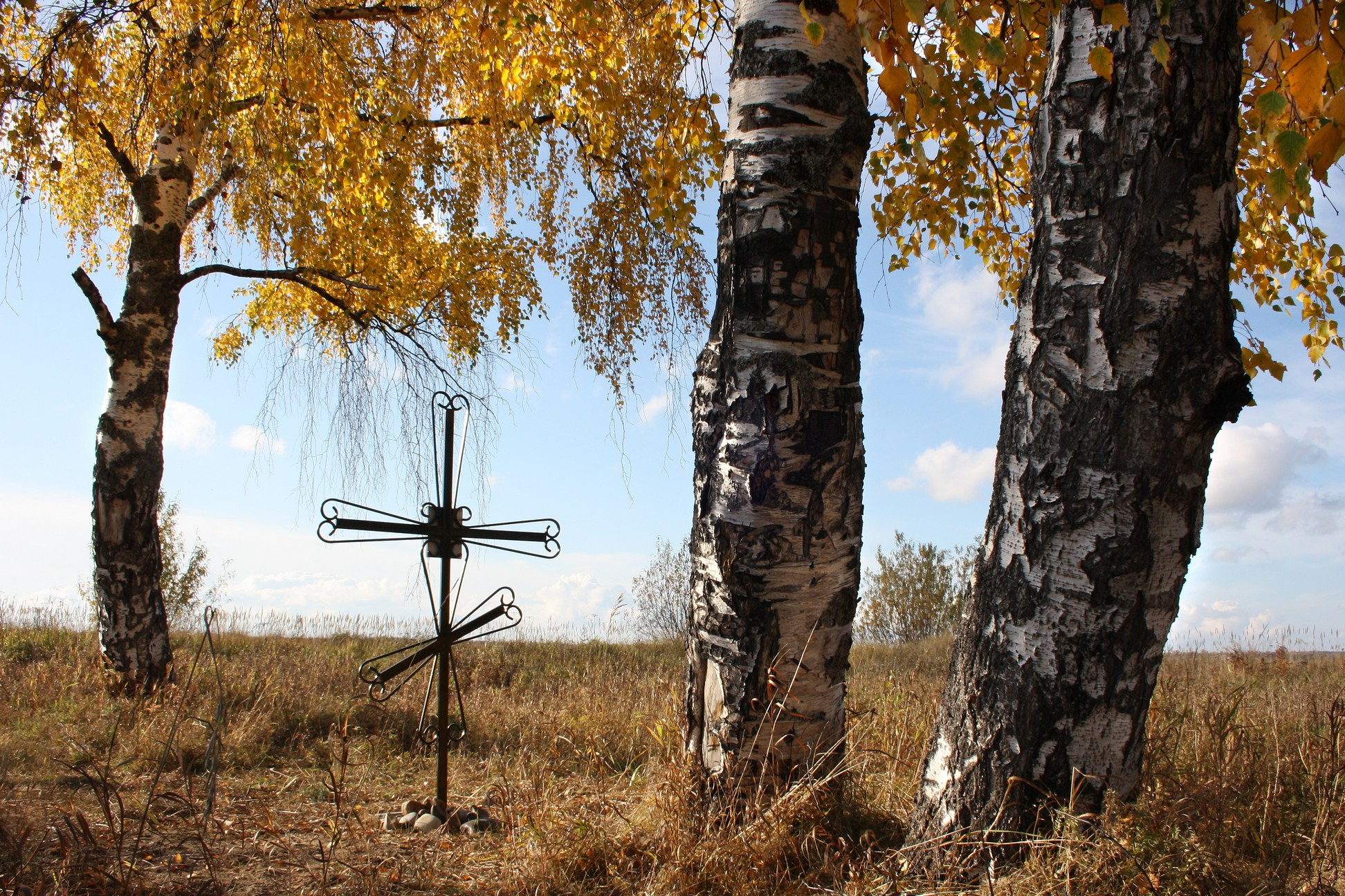 Печорский район