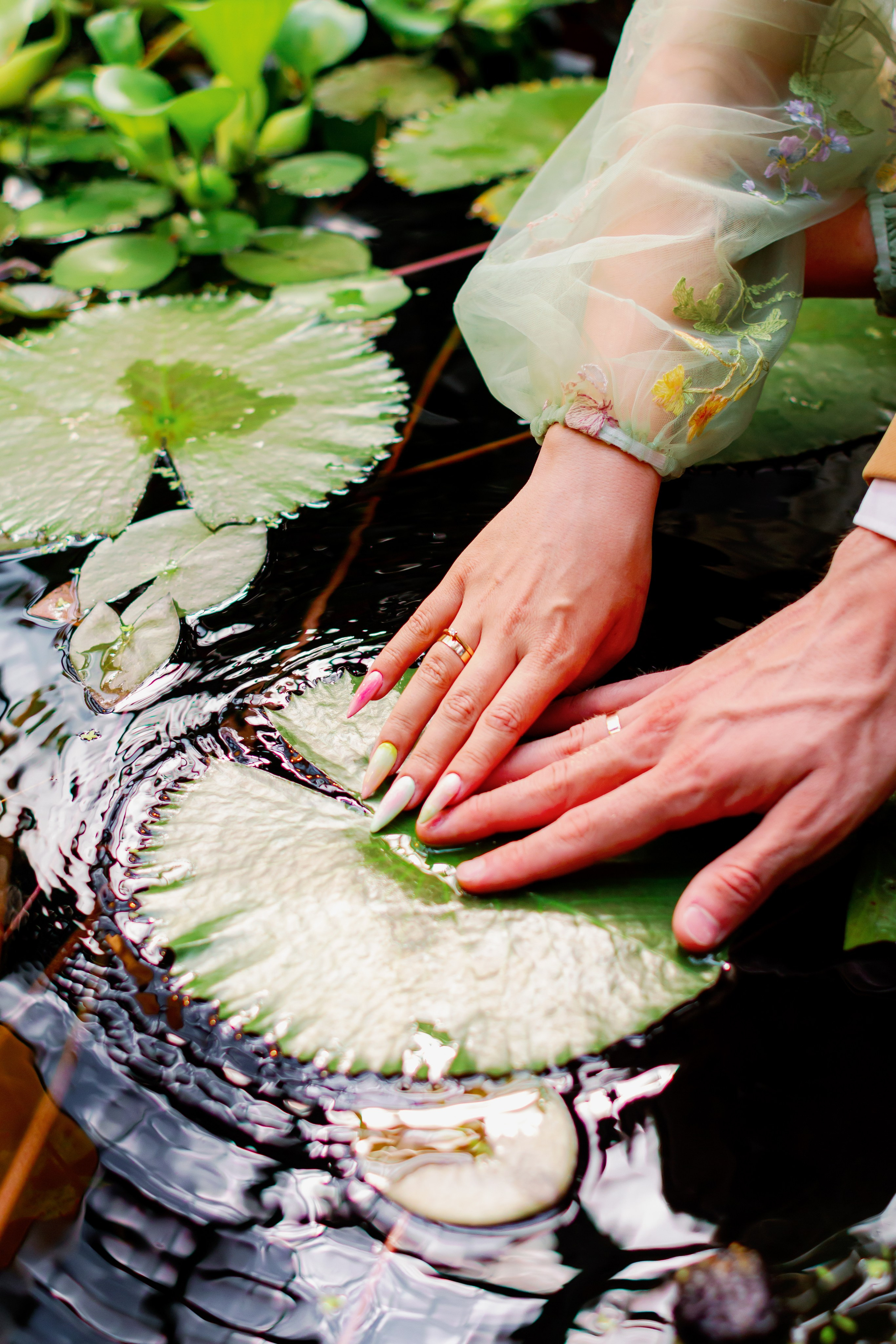Никита и Валерия. Свадебная фотосессия в оранжерее, Екатеринбург. Фотограф в Екатеринбурге Пойгина Елена