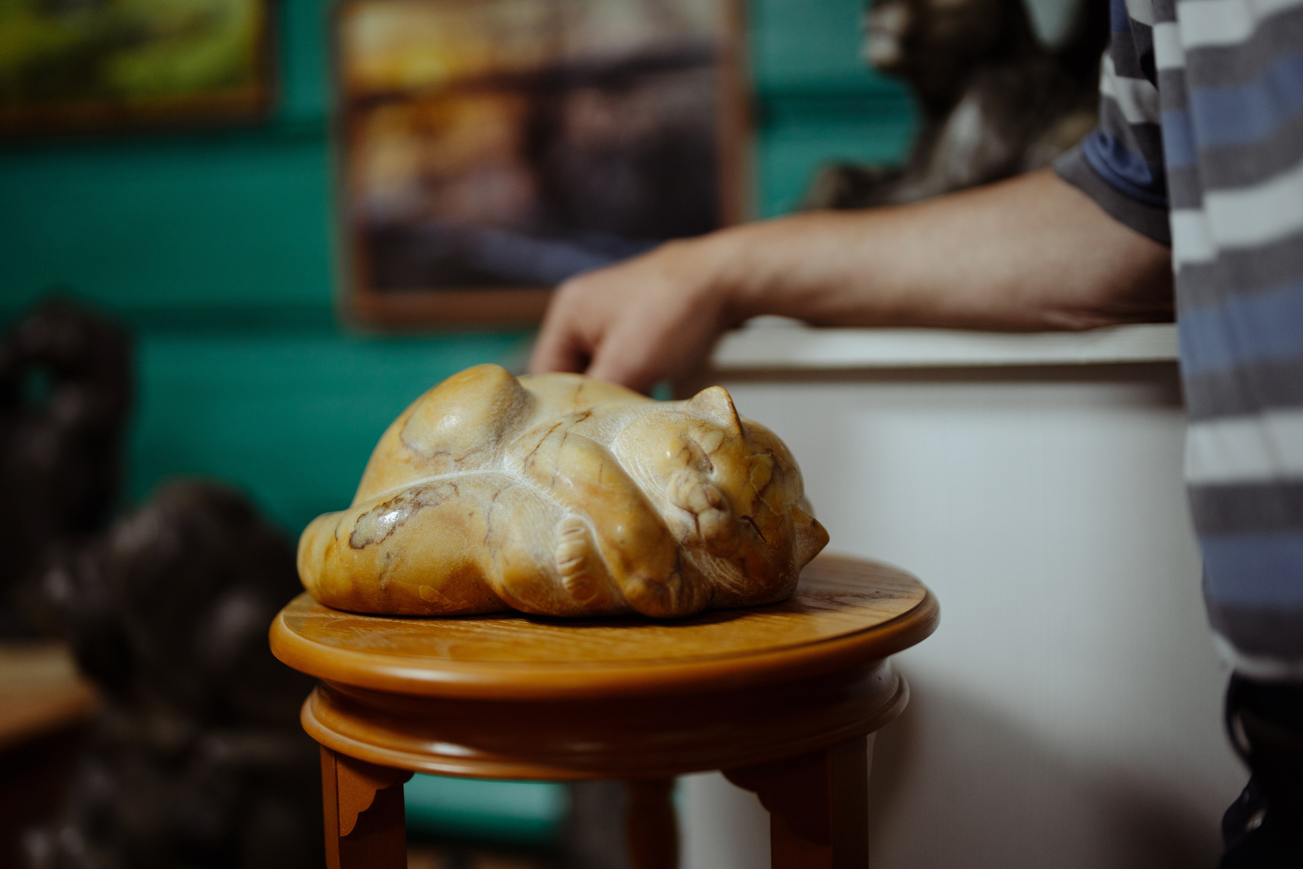 Сюжет № 10|Иван Викторович Евстифеев