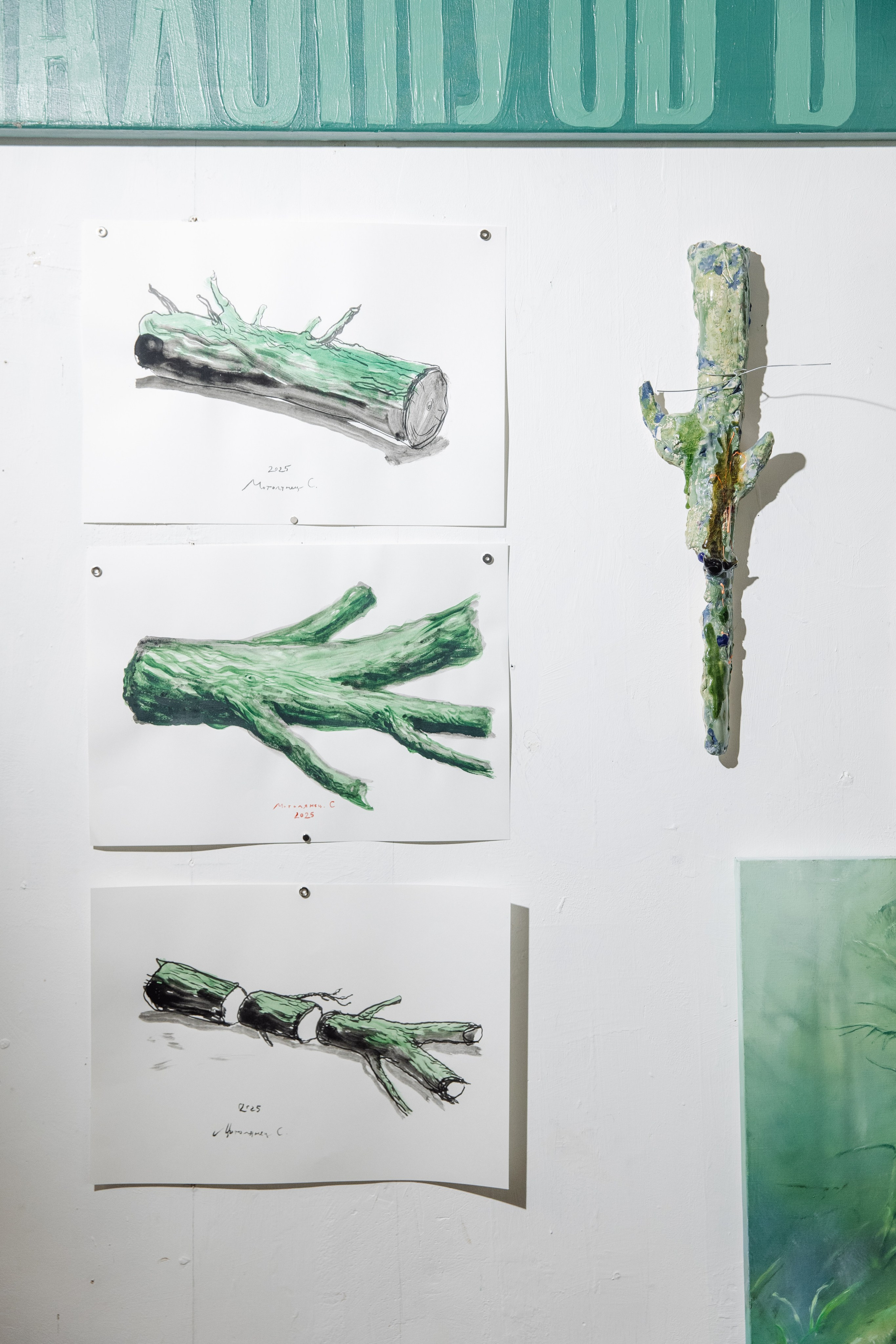 Зелёная ветка. Репортажный Фотограф | Константин Кондрашов