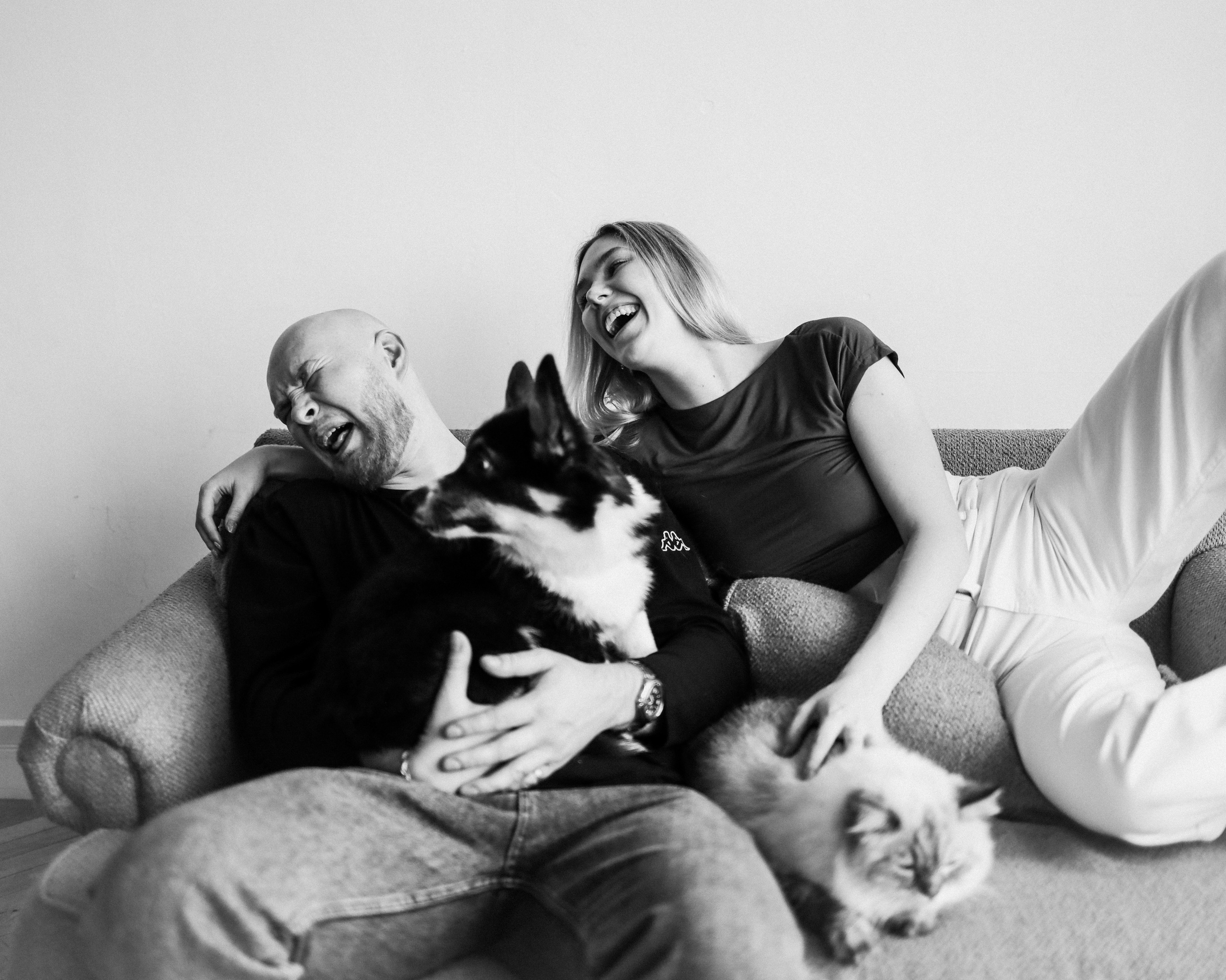 С хвостиками. Портретный фотограф в Москве. Фотосессии с собаками