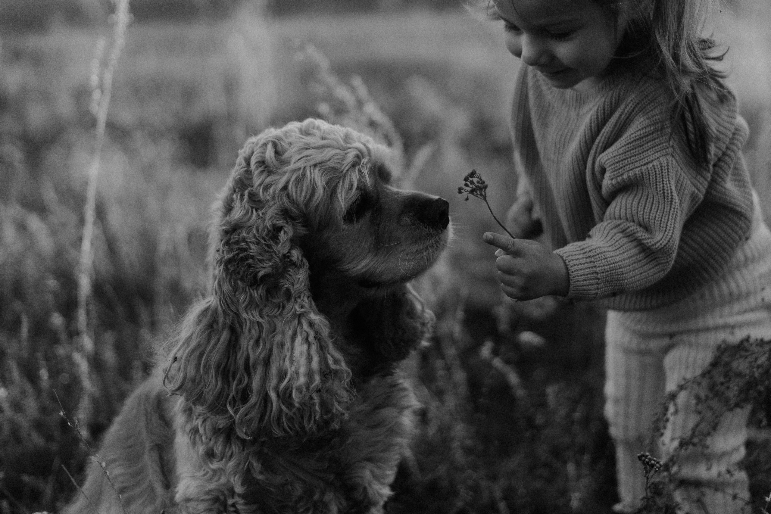 Алексей, Мария, Миша, Лиза и Соня. Главная