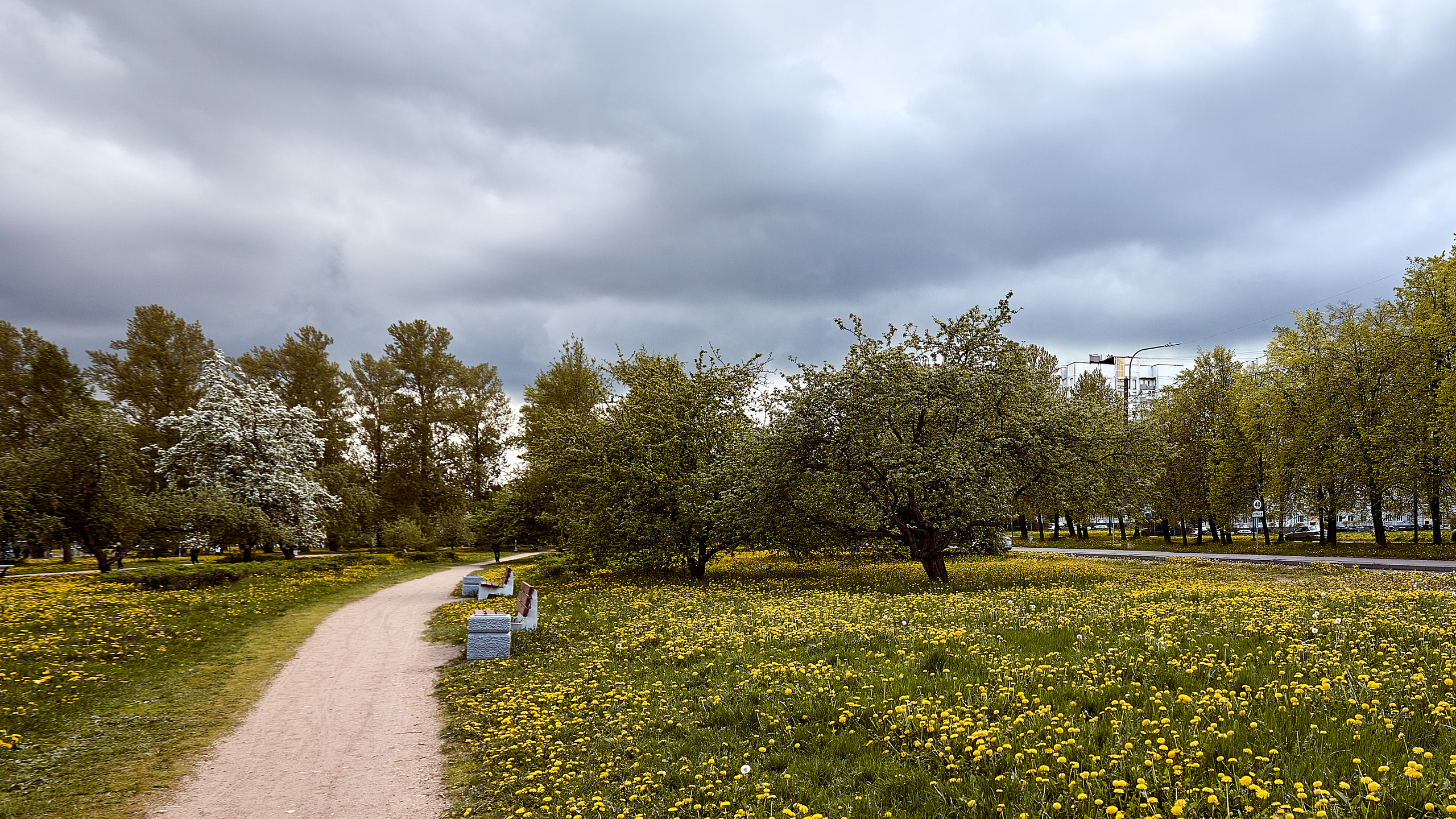 Пулковский парк. Пейзажный и семейный фотограф в Санкт-Петербурге Александр Белов