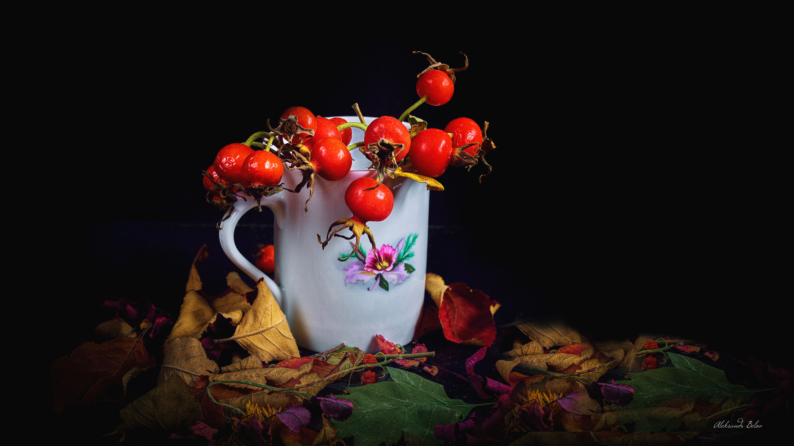 Предметная съемка. Пейзажный и семейный фотограф в Санкт-Петербурге Александр Белов