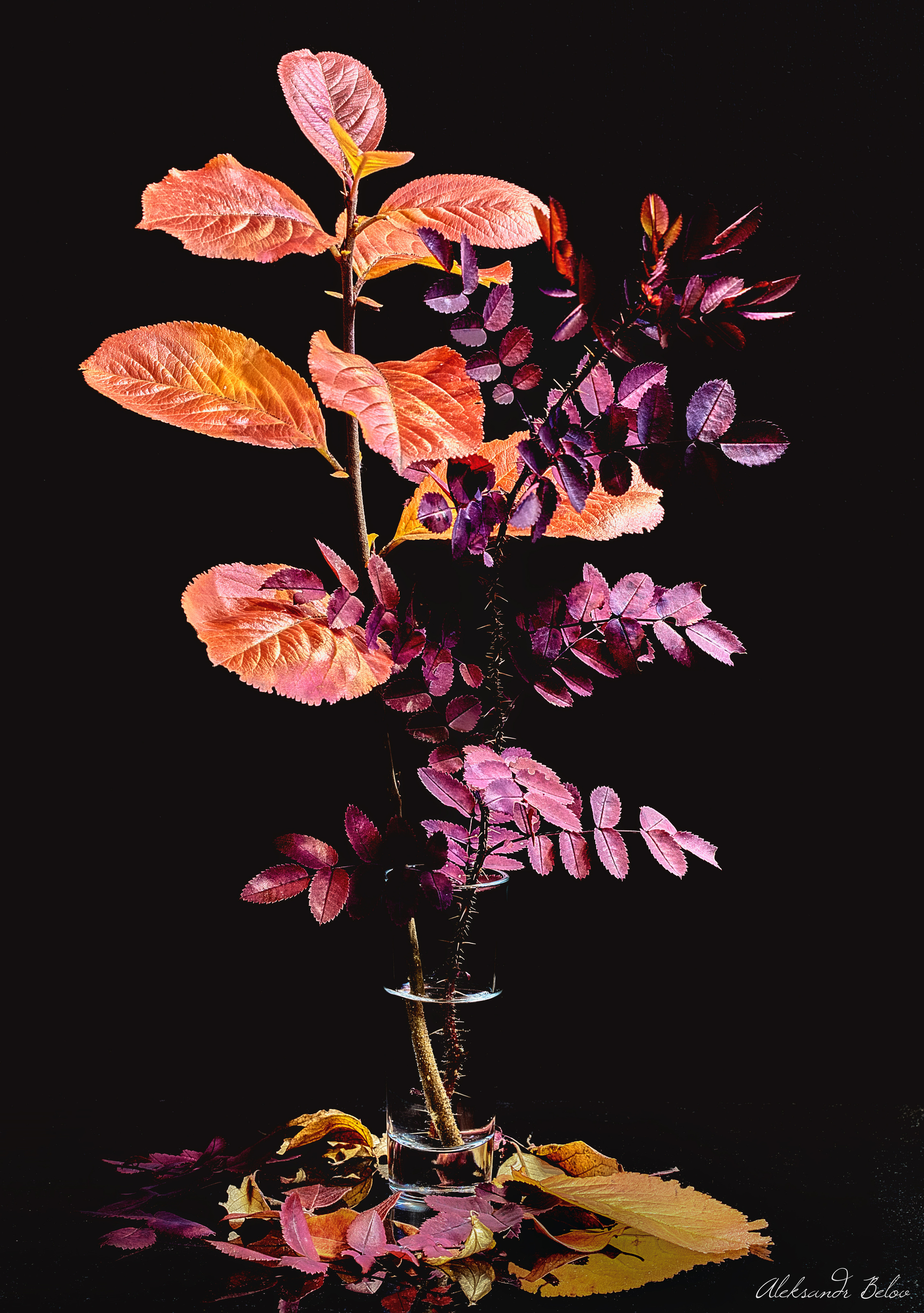 Предметная съемка. Пейзажный и семейный фотограф в Санкт-Петербурге Александр Белов