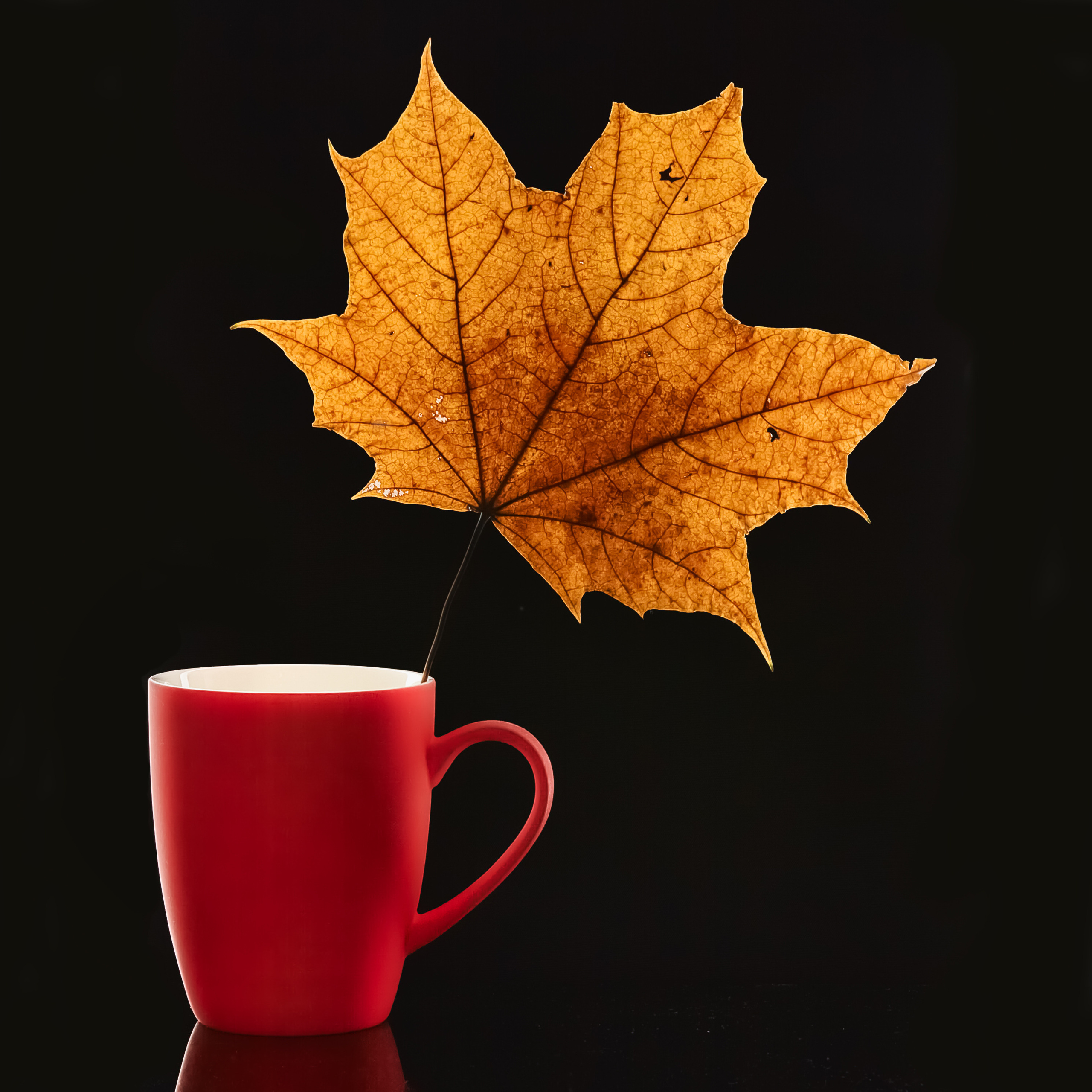 Предметная съемка. Пейзажный и семейный фотограф в Санкт-Петербурге Александр Белов