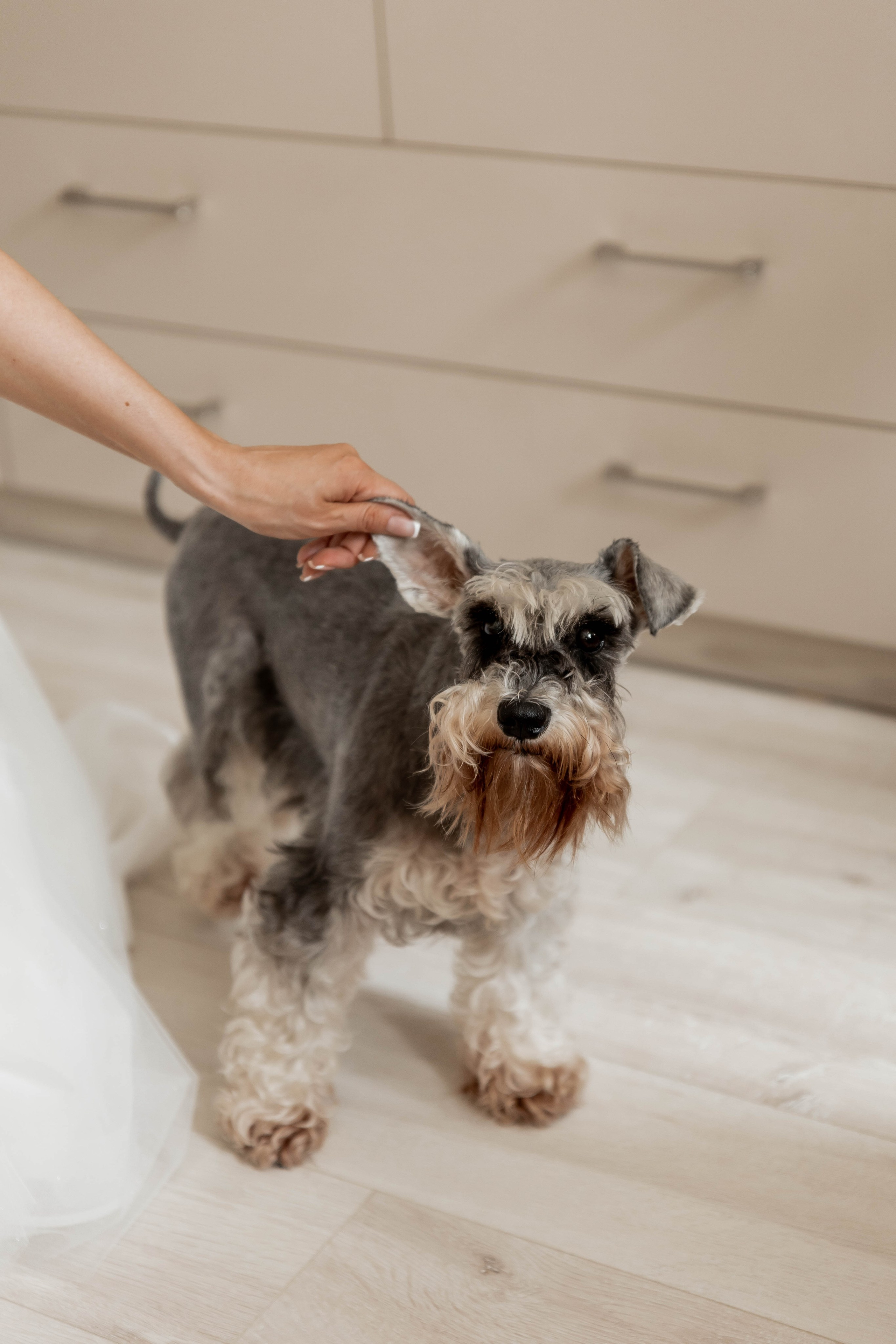 Алина | Александр. Свадебный фотограф Надежда Рыжикова